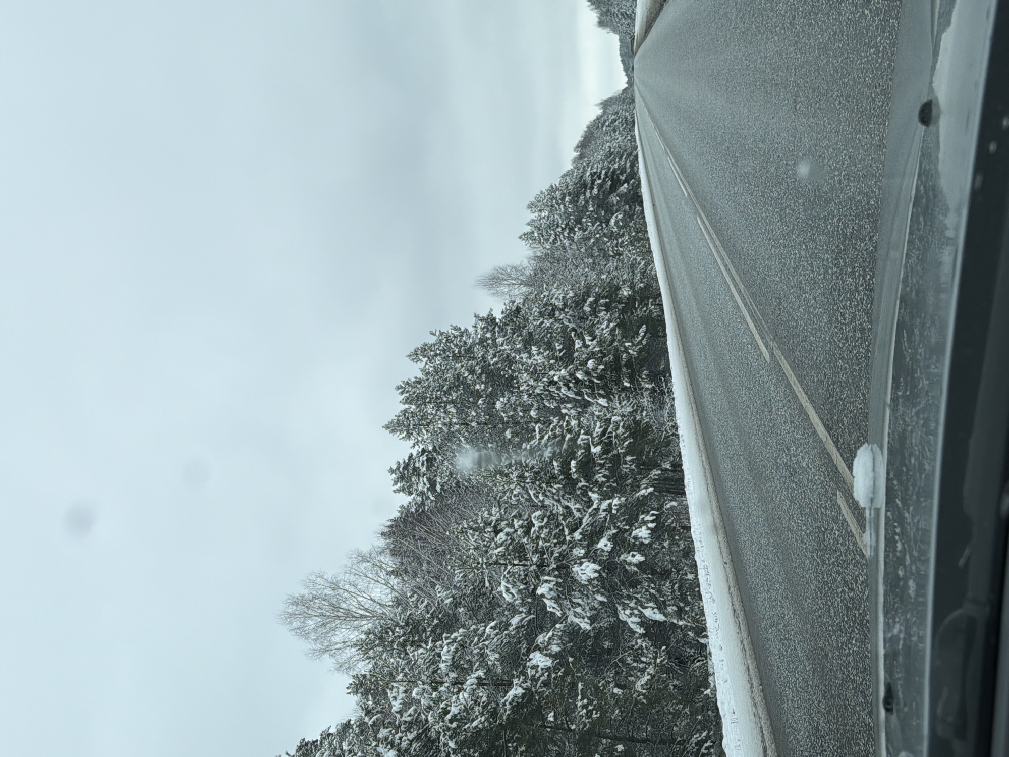 The image depicts a snow-covered road in a forested area under an overcast sky. The road surface is gray and marked with a white line. Trees line the road, their branches laden with snow. The image was likely taken from inside a vehicle, judging from the window frame visible on the right. There is no visible evidence to confirm the location of Chaikovsky, Russia.