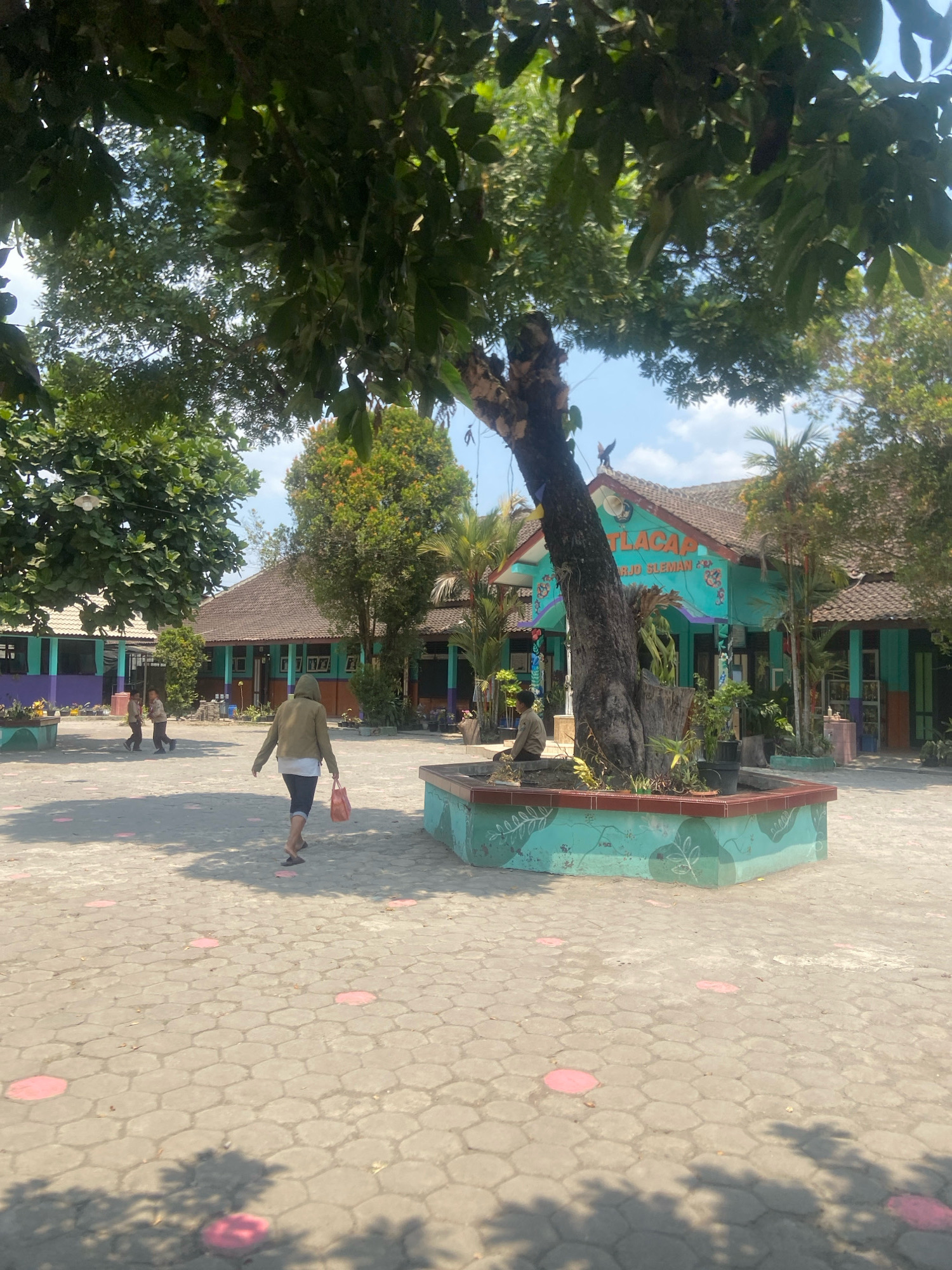 The image depicts a sunny outdoor scene at a school in Sleman, Indonesia. In the foreground, a person wearing a green hooded jacket, dark pants, and flip-flops walks away from the camera, carrying a pink shopping bag. The ground is paved with hexagonal interlocking concrete blocks, with pink circular markings scattered across the surface.
In the mid-ground, a large, gnarled tree trunk stands prominently, surrounded by a raised, teal-colored planter box decorated with white leaf motifs. Behind the tree, a vibrant turquoise building serves as a school. A sign above the entrance reads "TLACAP" and below it, "ARJO SLEMAN". The building has a traditional brown tiled roof and colorful accents of purple and green on its facade. Several potted plants and a small child sitting on the edge of the planter box are visible near the tree.
Further in the background, other school buildings with similar brown tiled roofs and colorful walls are visible. Two children are walking on the paved area to the left, and the environment appears to be a schoolyard with trees providing shade. The sky is clear blue with scattered white clouds. The overall impression is that of a typical day in a lively school setting.