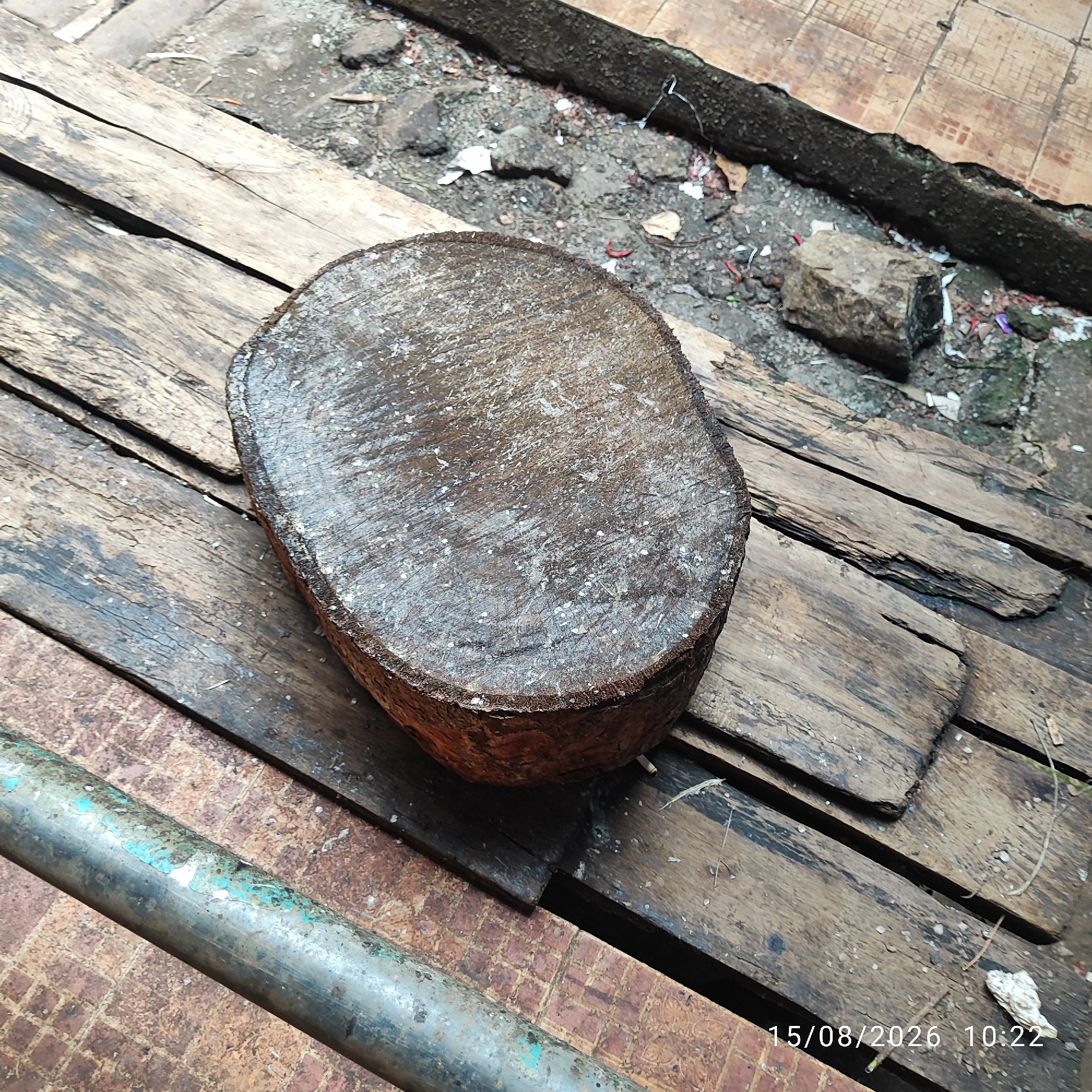 A round, dark brown wooden log, roughly 30 centimeters in diameter and 15 centimeters high, rests on weathered wooden planks. The surface of the log is worn and shows growth rings, with some white speckles scattered across it. The planks are laid parallel to each other, with visible gaps and signs of age and use. In the background, a dark, rough log lies across a patch of grey, rocky ground littered with small debris and what appear to be red worm-like objects. A larger, rough grey rock sits near the dark log. A metal pipe, painted a faded greenish-blue, runs horizontally across the lower left portion of the image. The scene appears to be outdoors, likely in an unkempt area. The date stamp "15/08/2026 10:22" is visible in the lower right corner. The location is identified as Pembaharuan, Indonesia.