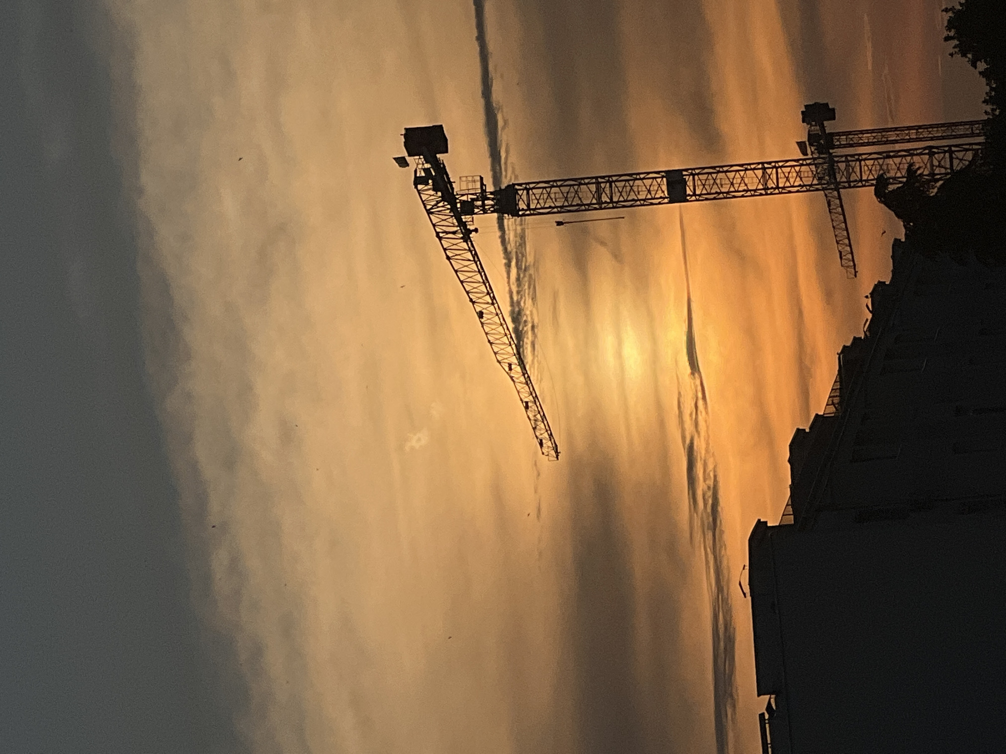 The image captures an urban landscape in Burgas, Bulgaria, at either sunrise or sunset, characterized by an intensely orange and golden sky transitioning to darker grey clouds overhead. The sun is visible as a diffuse, bright orb in the lower-middle portion of the sky, partially obscured by clouds. A prominent lattice boom tower crane stands silhouetted in black on the right side of the frame, its horizontal jib extending leftward. A small, dark flag is discernible atop the crane's counter-jib, and a vertical hoist cable hangs from its main jib. Behind the primary crane, a second, partially obscured tower crane is also visible in silhouette. In the foreground, multiple buildings with varied rooflines are depicted as dark silhouettes, occupying the lower left and central areas. Dark, silhouetted vegetation, likely trees, are present in the lower right corner, partially obscuring the base of the second crane. Several small, dark specks, consistent with birds in flight, are scattered across the illuminated sky. No human figures are discernible.