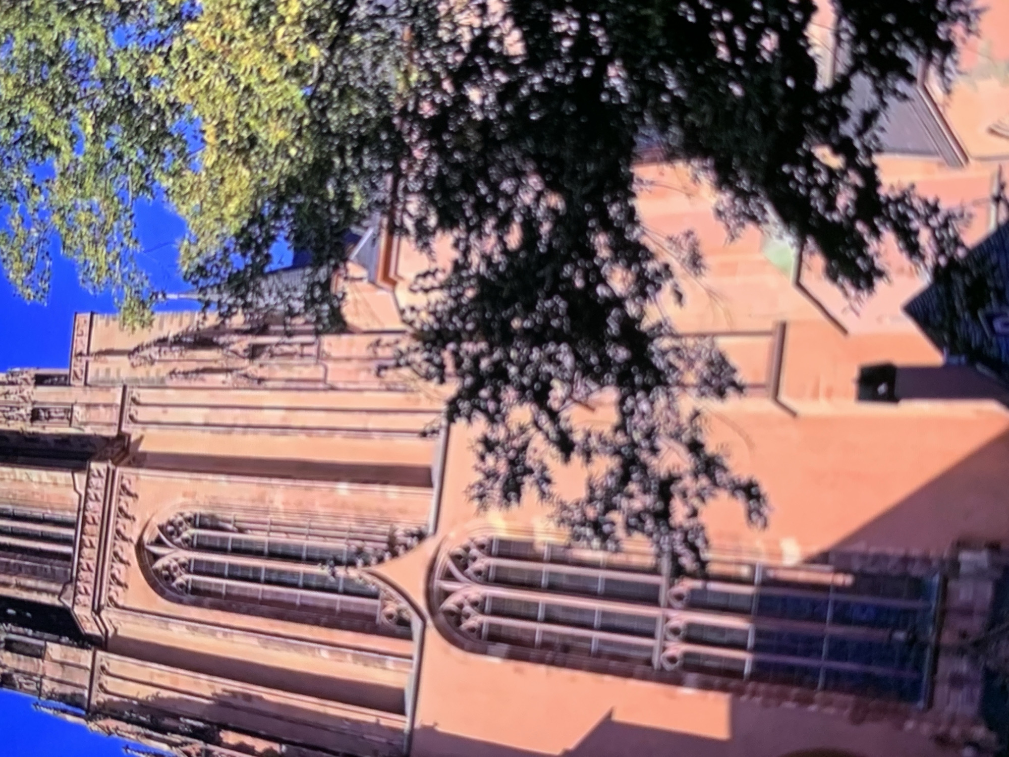 The image shows an upward-looking view of the exterior of a large, historic building, likely a church or cathedral, with ornate architectural details. The building's facade is made of a warm-toned stone, possibly sandstone or brick, and features multiple tall, arched windows. These windows have intricate tracery, common in Gothic architecture, with decorative elements within the arches. The building is tall and imposing, suggesting a significant structure.
Overhanging the building from the top of the frame is a large tree with dense foliage, some of which is illuminated by sunlight, appearing bright green and yellow, while other parts are in shadow, appearing dark green and black. The leaves of the tree create a dappled effect, partially obscuring the view of the sky and the upper portions of the building. The sky visible through the tree canopy is a vibrant blue.
The perspective is from a low angle, looking up, which emphasizes the scale and height of the building and the tree. The lighting suggests it is daytime, likely with bright sunlight, given the illumination of the tree leaves and the contrast between light and shadow on the building's facade. There is no visible text in the image. The scene evokes a sense of grandeur and possibly a serene atmosphere, with the natural element of the tree juxtaposed against the man-made structure. Given the location context of Stavropol, Russia, this could be a significant religious or cultural landmark within the city.