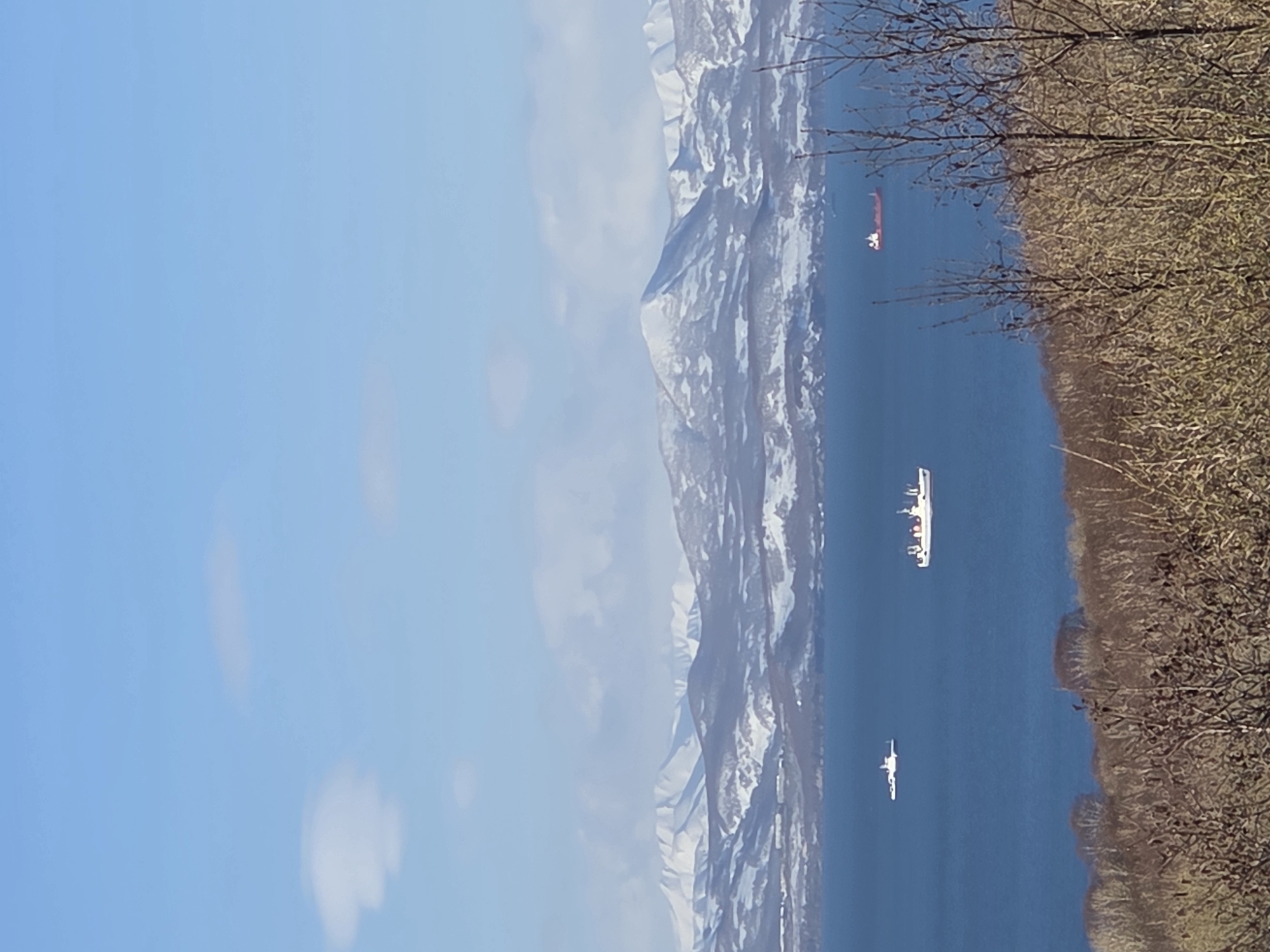 The image depicts a seascape with mountains in the background. The sky is blue with some scattered clouds. The mountains are snow-capped. In the water, there are three ships, one red and two white. A thick cluster of trees with bare branches lines the right side of the image. The location appears to be near the city of Unknown, Unknown.