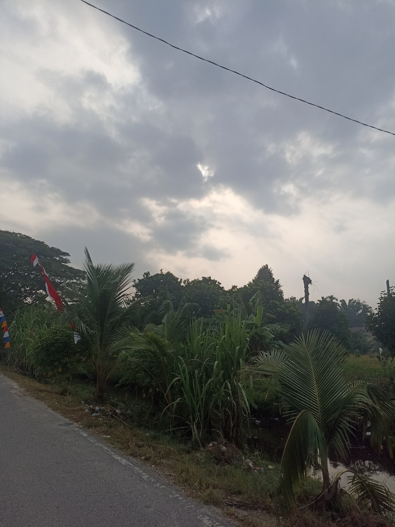 A cloudy sky with a visible sunbeam peeks through the overcast. The foreground features a paved road on the left, bordered by a grassy verge littered with plastic bottles. Beyond the verge, dense green vegetation, including palm trees and tall reeds, dominates the scene. Several Indonesian flags, red and white, are displayed amongst the foliage. A small ditch or waterway is visible to the right of the vegetation. In the distance, a line of trees forms a natural horizon, with a dead tree stump featuring a bird's nest prominent in the center. The overall impression is a rural or semi-rural landscape in Benteng Hulu, Indonesia, likely captured in the early morning or late afternoon due to the low light.
