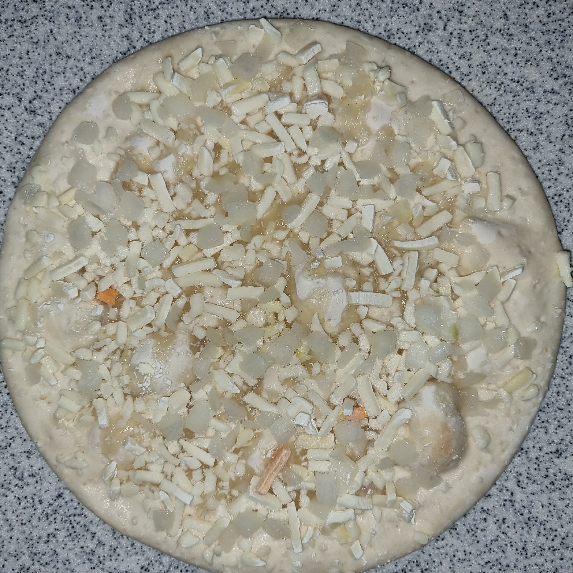 The image shows a close-up, overhead view of a raw, round pizza that has not yet been cooked. The pizza crust is light tan and appears to be of medium thickness. It is topped with a generous amount of shredded white cheese and diced white onions. Scattered among the cheese and onions are small pieces of what appear to be cooked chicken, some of which have a slightly orange hue. There are also a few small pieces of what could be carrots, indicated by their bright orange color. The pizza is resting on a speckled grey countertop, typical of a kitchen surface. There are no people or any other discernible objects or activities visible in the image. The scene depicts a frozen or pre-prepared pizza ready for baking, likely in a domestic setting.