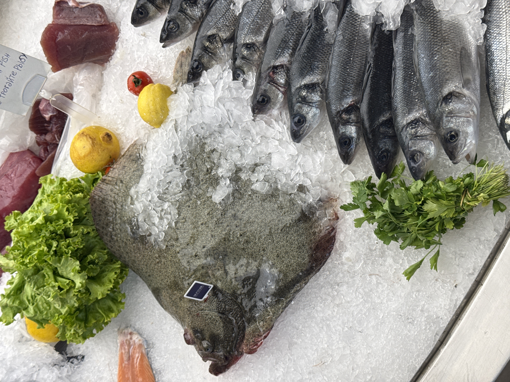 The image shows a display of fresh seafood on ice, likely at a market in Mrčevac, Montenegro. There is a variety of fish including tuna steaks, a turbot, European bass (sea bass), lettuce, parsley, lemons, and a slice of salmon. Some of the fish have been layered in crushed ice. A sign with writing in Cyrillic script is visible.