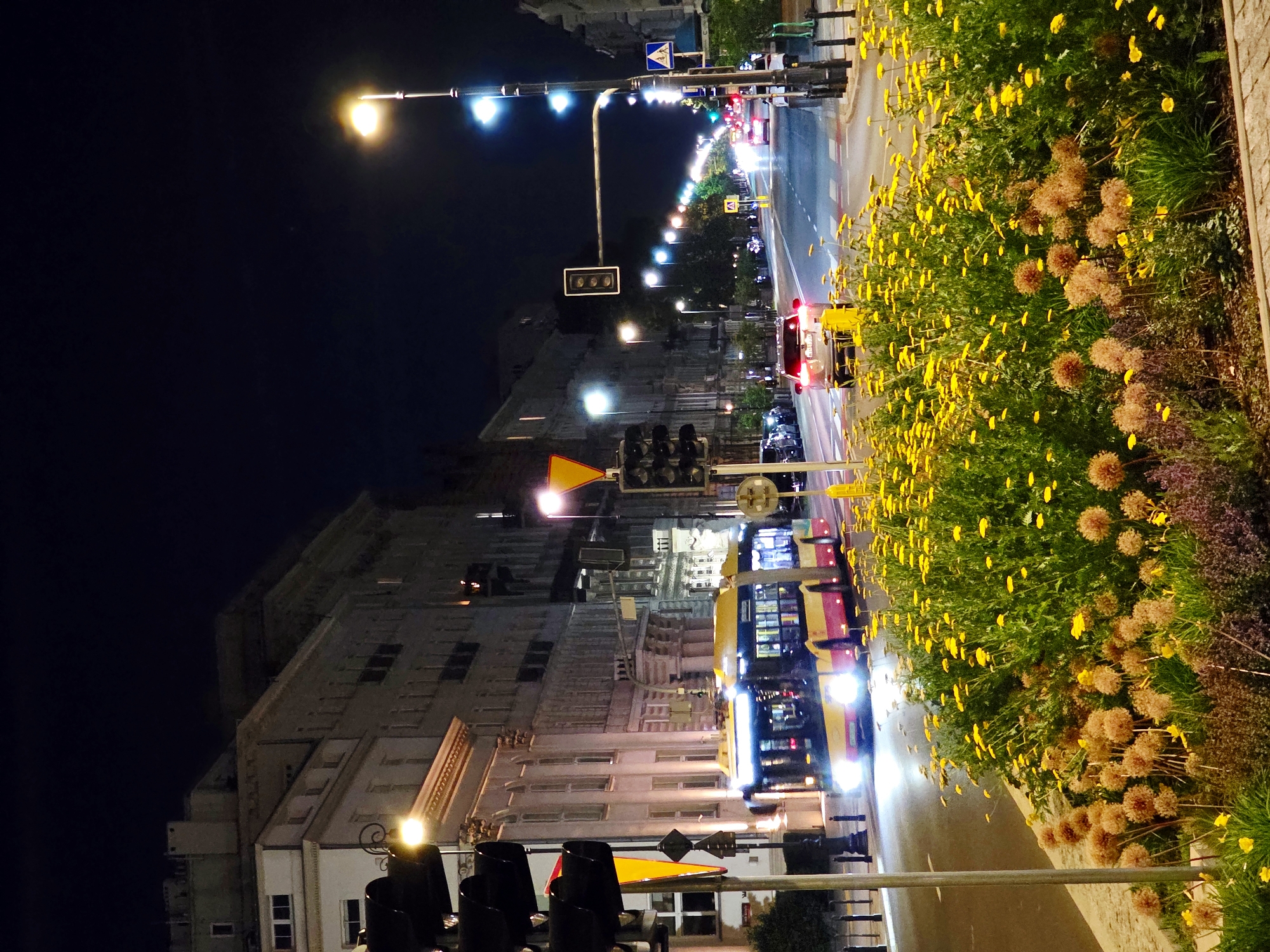 This image depicts a street scene in Warsaw, Poland, at night. The perspective is rotated, making the scene appear vertical. A yellow and red bus is visible, its headlights illuminated, traveling down a wet street reflecting the city lights. The street is lined with buildings on one side and a lush green garden filled with yellow flowers and spherical brown seed heads on the other. Traffic lights and streetlights are on, casting a warm glow. The overall impression is a vibrant urban night with clear visibility despite the darkness. No visible text is present in the image.