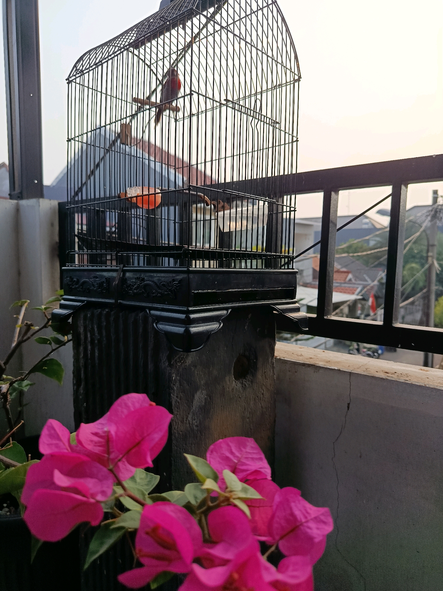 A birdcage sits on a weathered wooden post on a balcony in Bekasi, Indonesia. The cage is made of black metal bars and has an ornate base. Inside the cage, a small bird with reddish-brown plumage perches on a wooden dowel. In front of the cage, a cluster of vibrant pink bougainvillea flowers blooms, with green leaves visible. The balcony railing is also black metal, and through it, the blurred background shows rooftops and trees of a residential area. The sky appears overcast, suggesting it might be early morning or late afternoon.