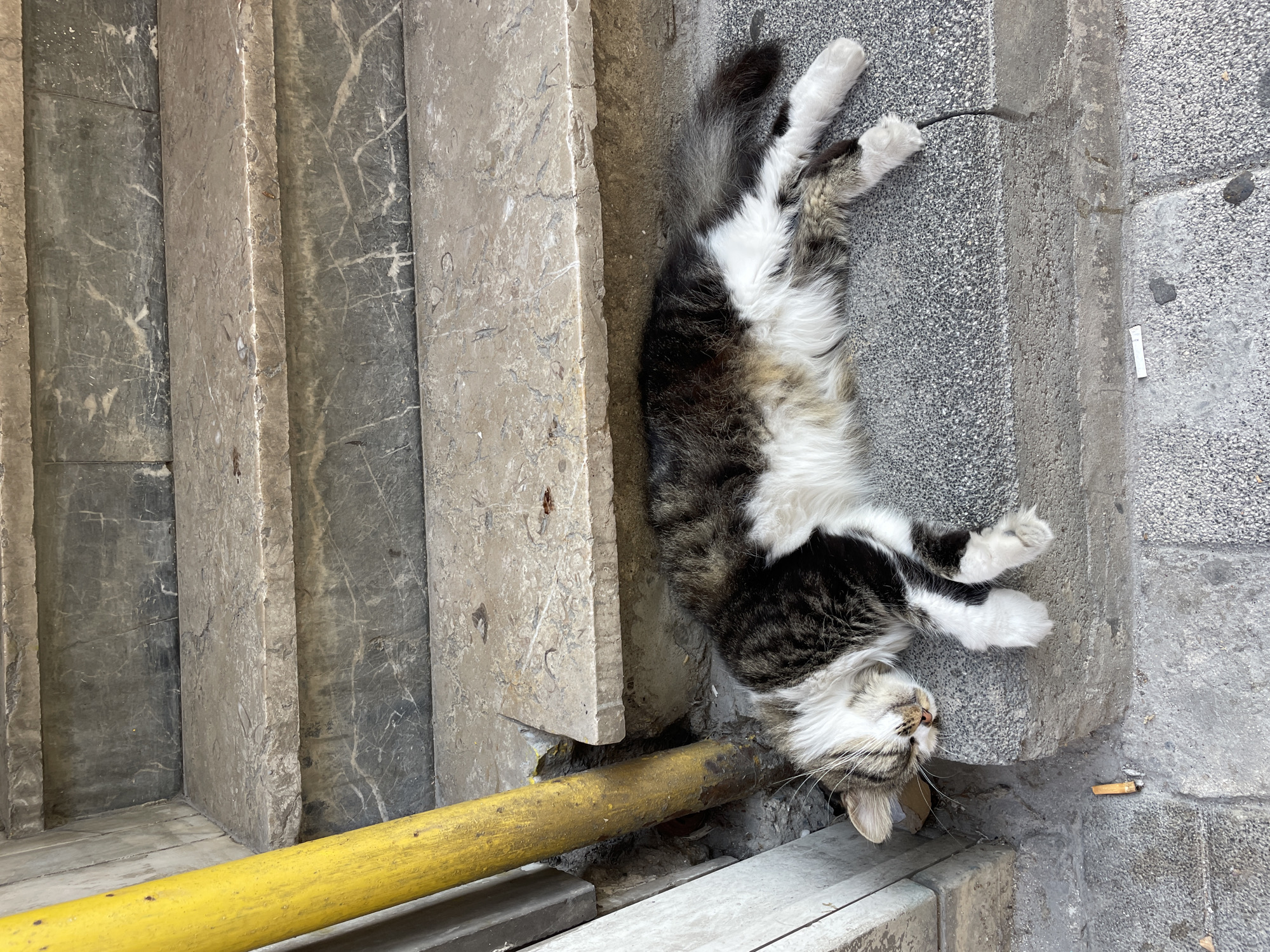 A long-haired tabby cat is sleeping on a concrete step beside a yellow metal pole. The cat is lying on its side, with its head resting on a lower step. The cat has white paws, a white chest, and a white belly, with tabby markings on its back and tail. There are several steps made of marble and concrete behind the cat. A cigarette butt is on the ground in front of the cat. The scene appears to be on a sidewalk or public pathway in Kadıköy, Turkey, given the context provided.