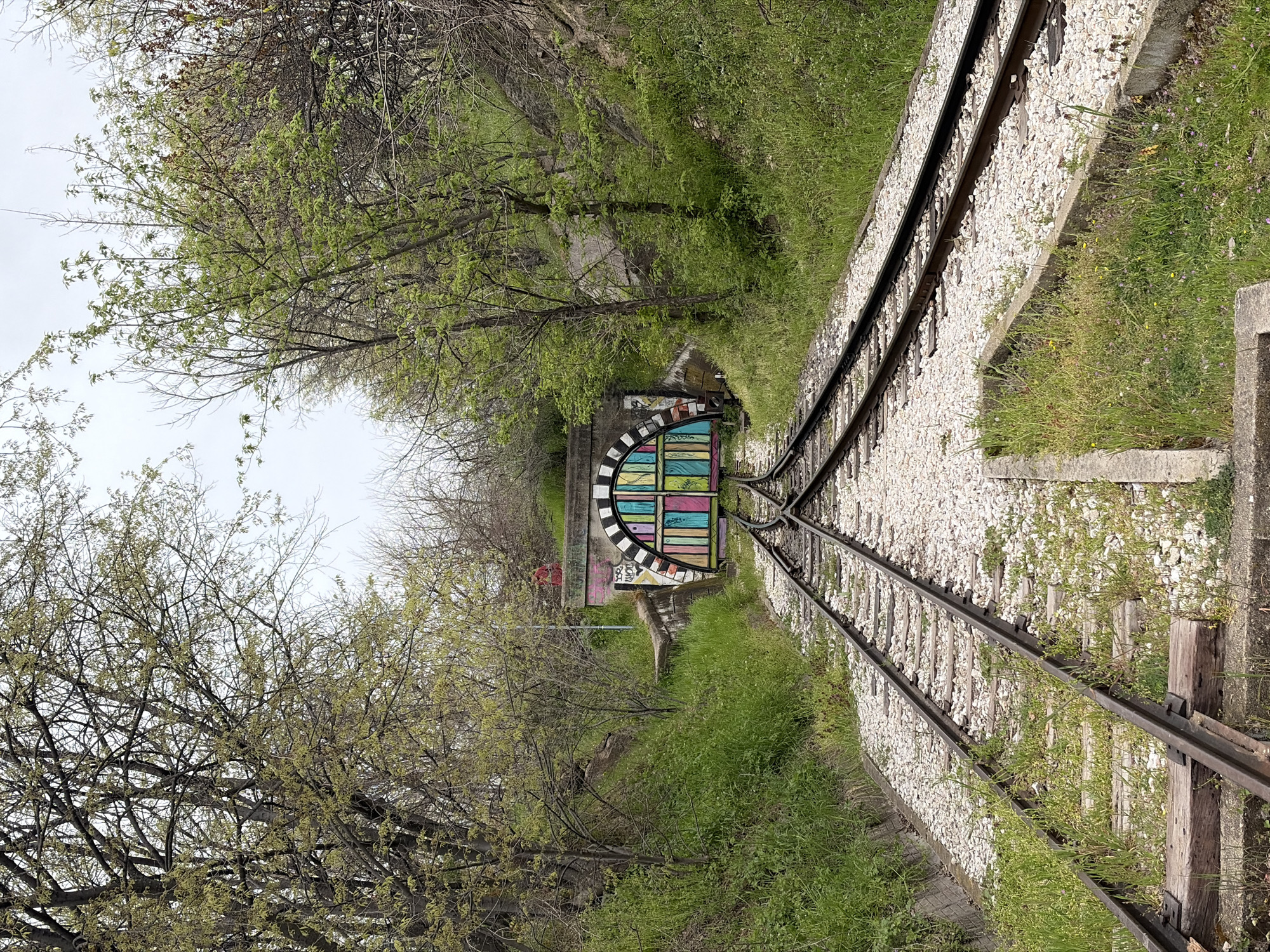 The image depicts a section of an abandoned railway track in Plovdiv, Bulgaria. The tracks converge at a point where a tunnel entrance is located. The tunnel mouth is decorated with colorful graffiti, featuring an arc-shaped design above a series of painted rectangles. The area surrounding the railway is overgrown with grass and trees, giving the scene a neglected, urban wilderness character. No people are visible in the frame. The sky is overcast, suggesting a soft, diffused light.