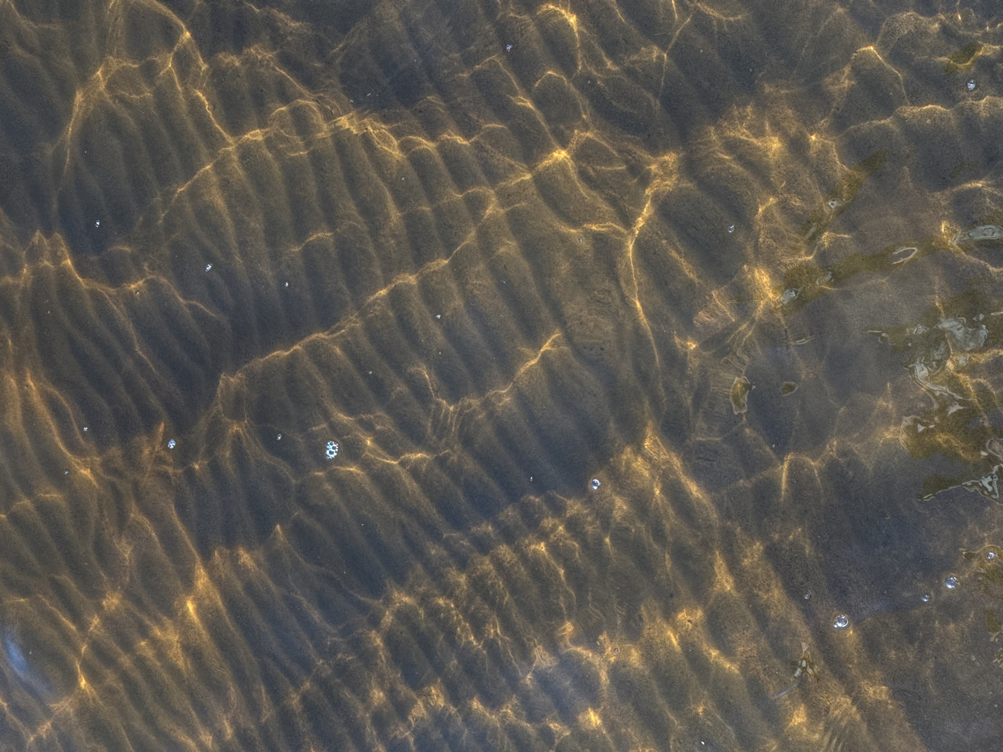 This is a top-down shot of shallow, dark water with a sandy bottom. Sunlight refracts through the water, creating a shimmering pattern of light and shadow on the rippled sandy substrate. There are a few small bubbles visible on the surface of the water. The image depicts a natural scene, likely a body of water such as a river, lake, or pond, in an outdoor environment. Without further information, it's impossible to pinpoint its exact location within Скобелевка, Russia.