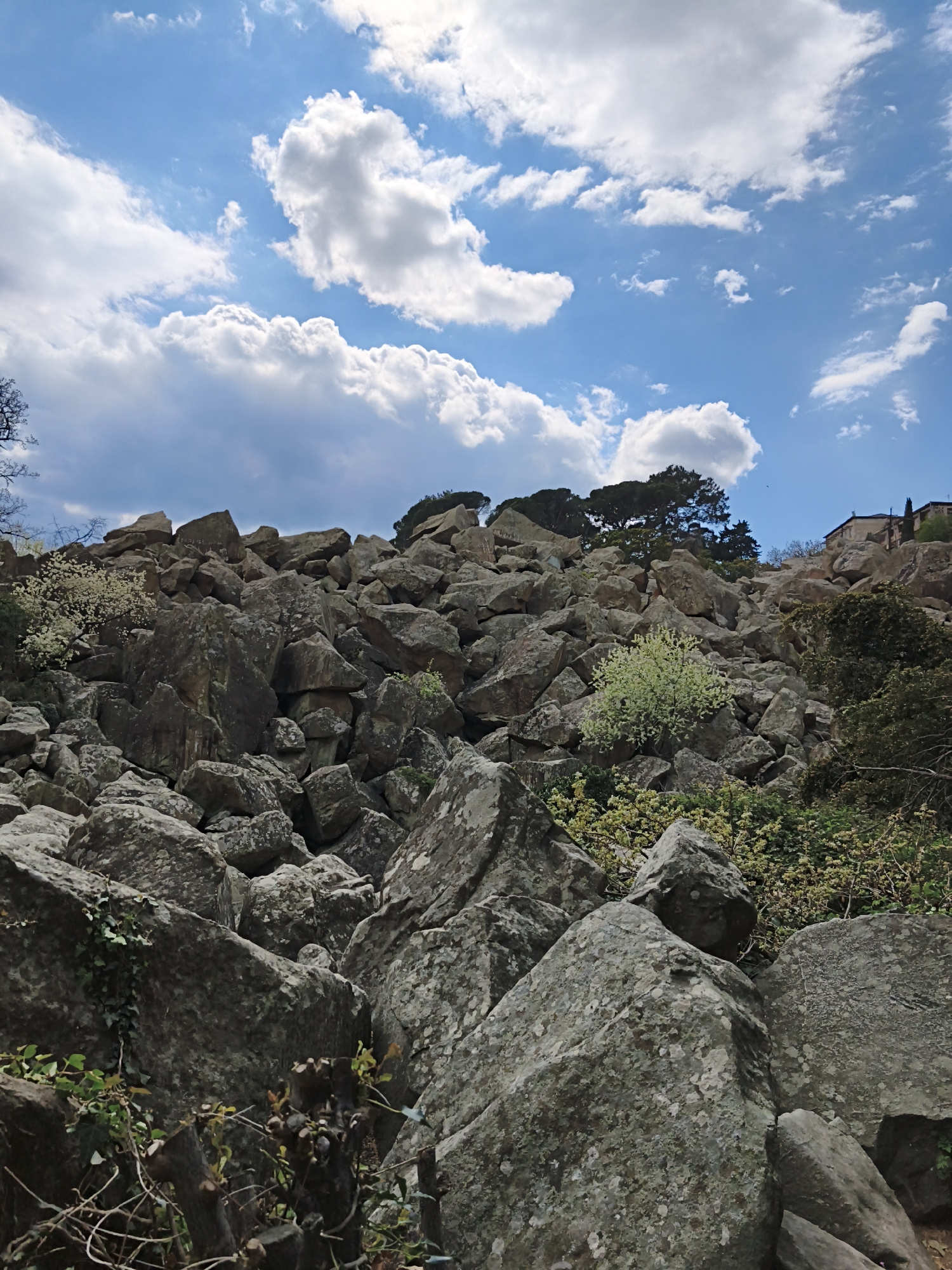 A low-angle, wide shot captures a landscape dominated by a rocky hillside under a partly cloudy sky. The rocks are large, grey, and textured with lichen, forming a steep slope. Patches of green vegetation, including small trees and flowering shrubs, are interspersed among the rocks. At the top of the hill, a cluster of dark green trees stands against the sky, and a building with a brown roof is visible to the right of the trees. The sky is blue with scattered white clouds. The location is in the city of Алупкинский городской совет, Ukraine.