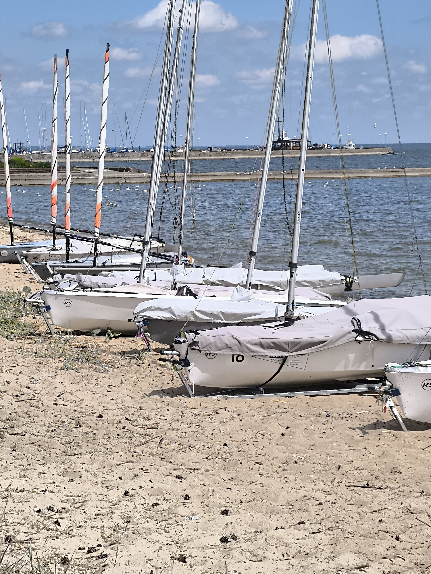 The image depicts a row of small sailboats, likely dinghies, pulled up onto a sandy beach adjacent to a body of water. The boats are white, some with grey covers, and their masts are visible, many with distinctive orange and black striped patterns on the upper sections. In the background, the water is calm, with more sailboats further out and a distant shoreline with structures and trees. The sky is blue with scattered white clouds. The beach is covered in sand, scattered with small debris such as twigs and dried grass. Several boats are lined up, resting on trailers or stands. One boat in the foreground has the number "10" clearly visible on its cover. The scene appears to be a calm, sunny day, possibly at a sailing club or marina in Neringa, Lithuania, given the context of sailing and coastal areas. There are no people visible in the image.