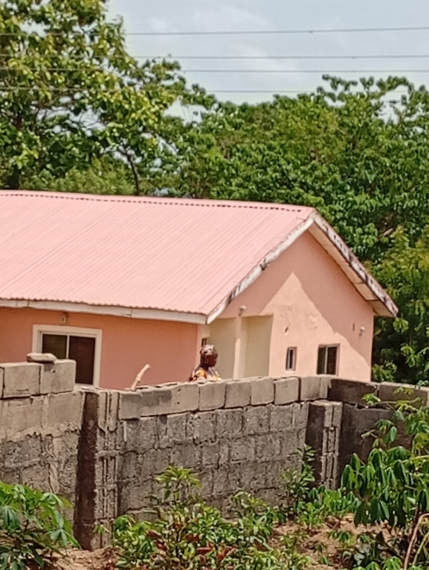 The image shows a single-story, peach-colored house with a pink corrugated metal roof. The house has several windows and a door. A concrete block wall partially obscures the view of the house. A person is standing behind the wall, visible only from the shoulders up. The foreground has leafy green plants. Trees are visible in the background. Overhead power lines are also visible against the sky. The location is Unknown, Unknown.