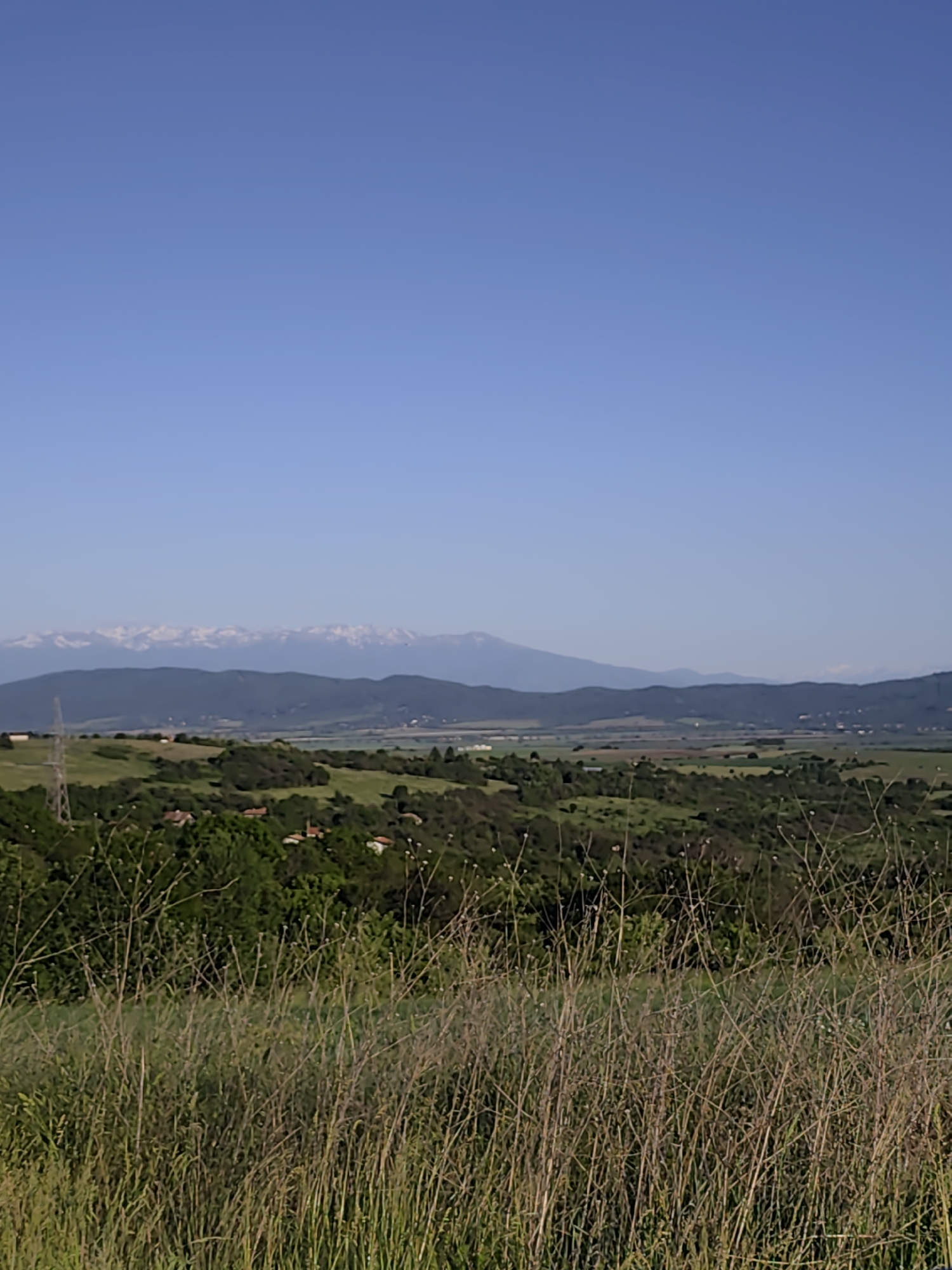 A landscape scene features an expanse of green fields and trees in the middle ground, with taller mountains in the background. The mountains have patches of white, suggesting snow-covered peaks. In the foreground, there is tall grass, obscuring the lower portion of the view. The sky is a clear blue. A powerline is visible in the left middle ground. The location is not explicitly identified.