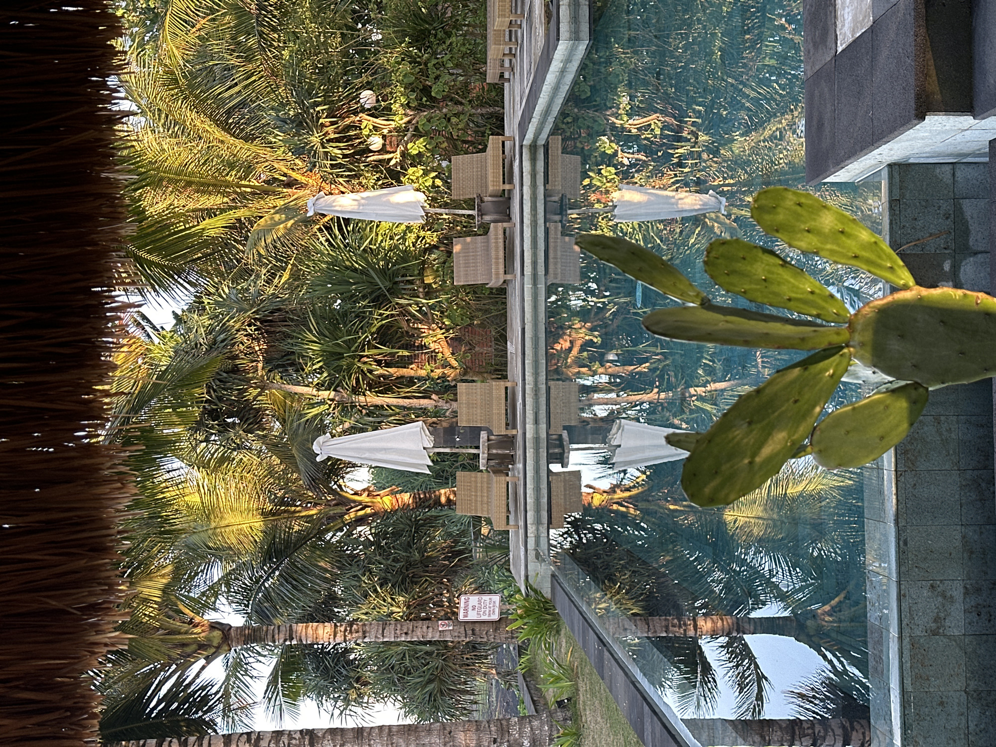 The image depicts a scene in Mendoyo, Indonesia, featuring a swimming pool area. A thatch roof structure is visible on the left, and palm trees are prevalent. There are lounge chairs with white umbrellas along the poolside. A cactus grows near the pool's edge. A sign indicating the lifeguard is on duty is affixed to a palm tree. The water in the pool reflects the surrounding environment, including the trees and umbrellas. The scene suggests a resort or hotel environment.