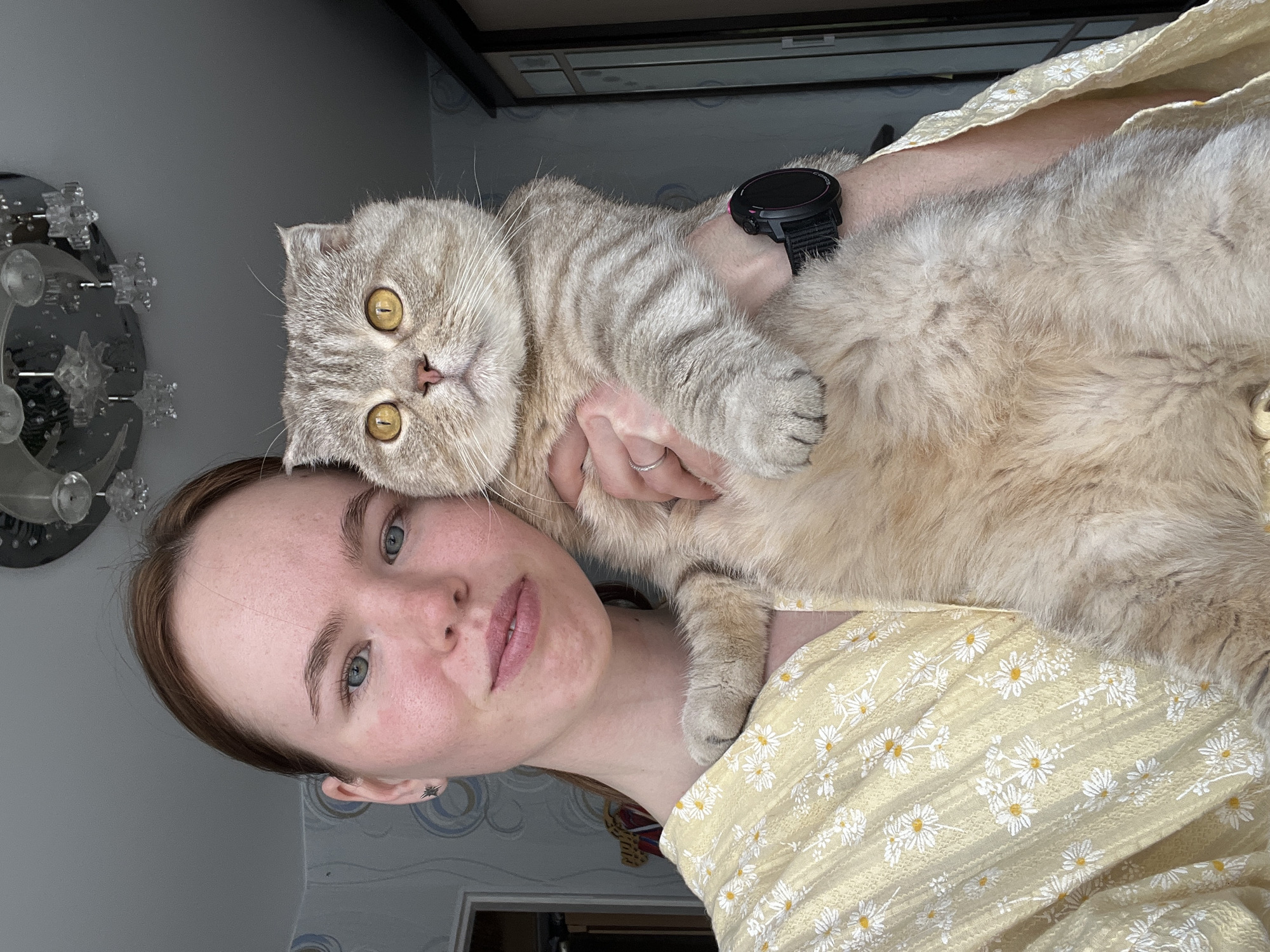 A person is holding a light brown and gray tabby cat with yellow eyes. The person is wearing a light yellow shirt with white daisy patterns. The person has fair skin, blue eyes, and light brown hair. The person is wearing a black smartwatch. In the background, there is a wall with a wallpaper pattern of gray and blue circles, a silver decorative wall fixture, and part of a doorway. The location may be in the city of Chaikovsky, Russia.