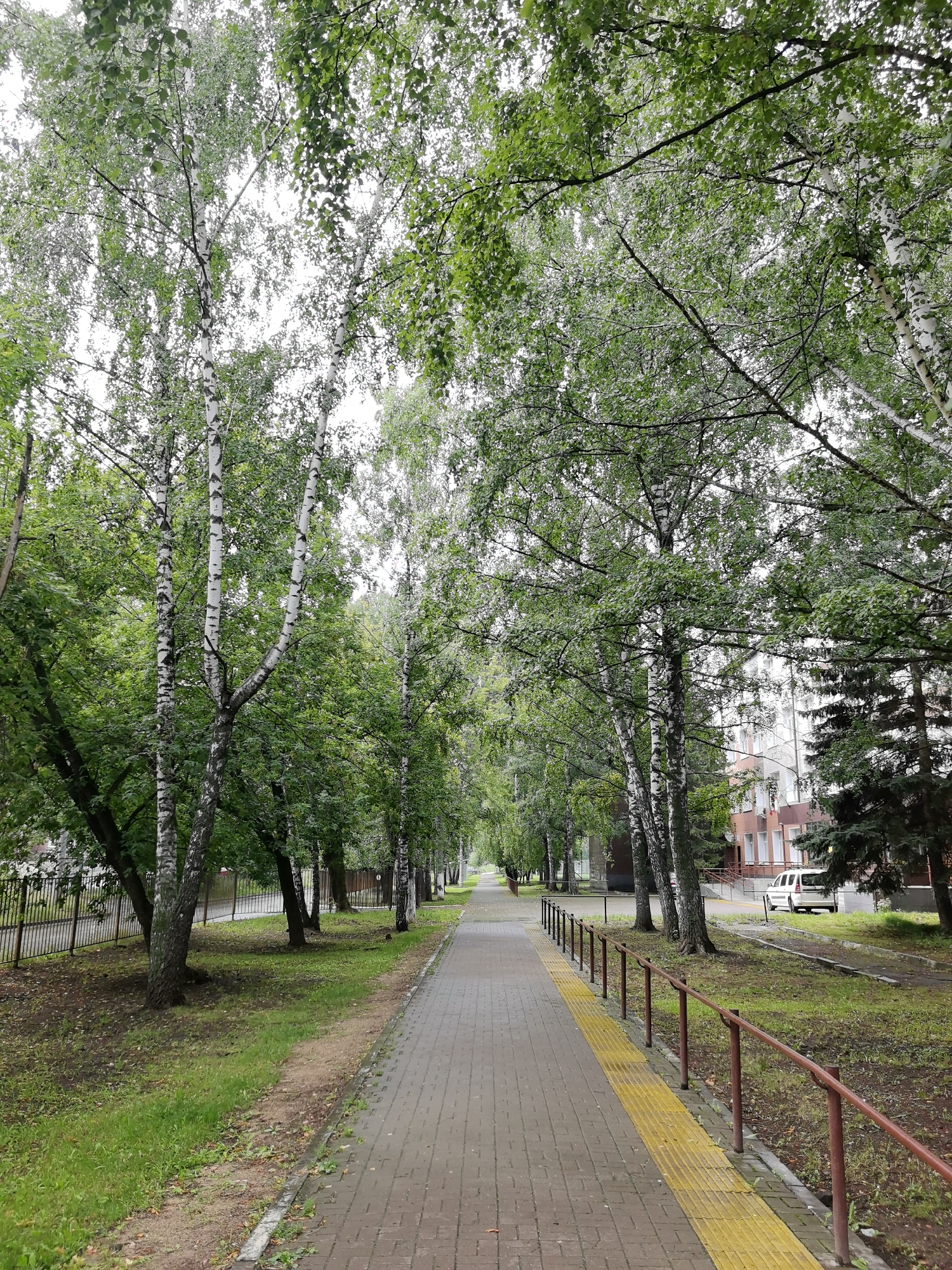 The image shows a paved pathway lined with trees on either side, creating a shaded walkway. The pathway is made of brick pavers and has a tactile warning surface with raised yellow studs along its edge. A metal railing with red posts runs parallel to the pathway. On the left side of the pathway, there is a grassy area with some fallen leaves and a metal fence. On the right side, there is more grass, trees, and a building in the background. A white van is parked on the right side of the image. The sky is overcast and the trees are full of green leaves, suggesting it is summer or early autumn.