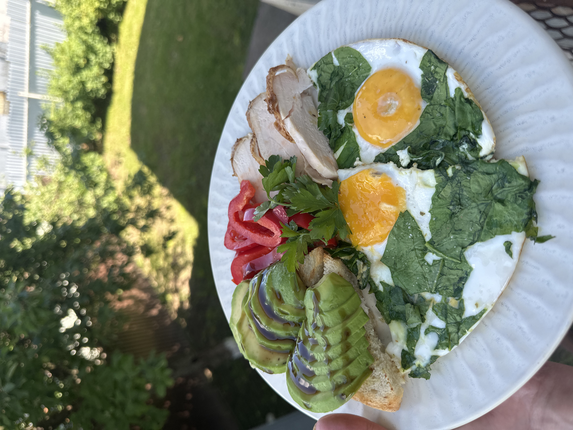 An overhead medium shot captures a white plate filled with a healthy breakfast, held by a person whose hand is visible on the left edge of the frame. The meal features two fried eggs with runny yolks nestled amongst wilted spinach. Adjacent to the eggs are slices of cooked chicken breast, a small pile of sliced red bell peppers, and a garnish of fresh parsley. To the left, fanned slices of avocado are arranged on a piece of toasted bread, drizzled with a dark sauce. The plate rests on an outdoor surface, possibly a table, with a blurred background of lush green trees and a fence, suggesting a backyard setting. The lighting indicates it's daytime, likely morning or early afternoon. The scene does not provide any specific visual cues to determine its location within Chaikovsky, Russia.