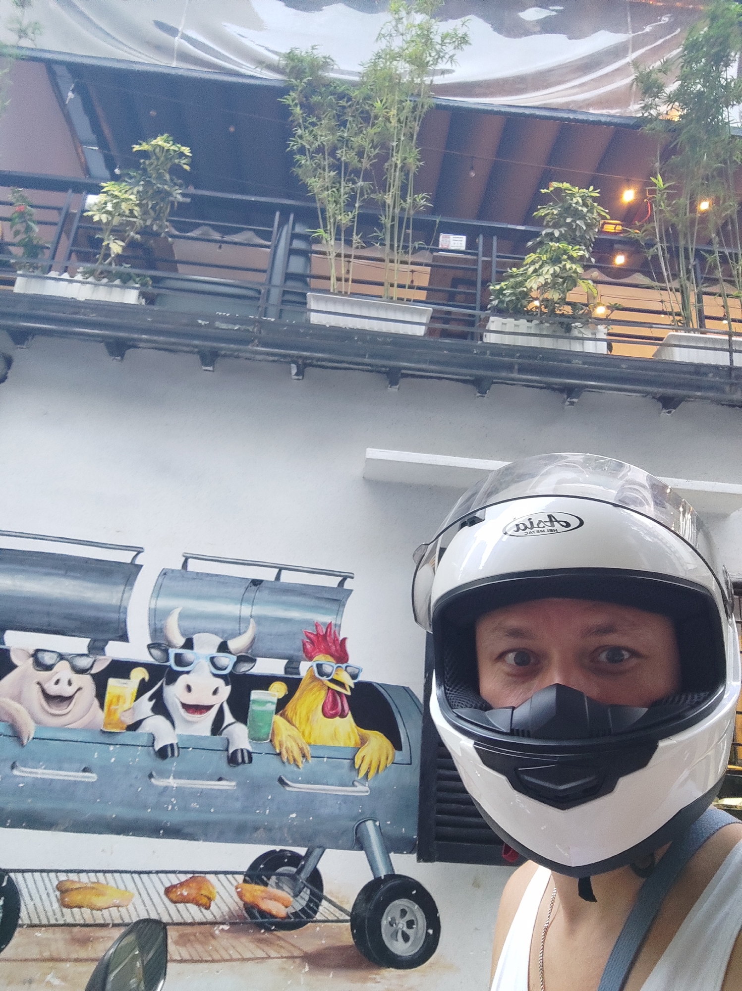 The image is a selfie taken by a person wearing a white motorcycle helmet with a clear visor. The person's face is partially visible behind the helmet, showing their eyes and nose. They are wearing a white tank top and a silver chain.
Behind the person is a mural painted on a white wall. The mural depicts a pig, a cow, and a rooster wearing sunglasses, all appearing to be characters on a grill. The pig is on the left, the cow in the middle, and the rooster on the right. Each character is holding a drink. Below them, on the grill, are pieces of cooked meat.
Above the mural, there is a balcony with several potted plants, including bamboo and other greenery. The balcony has a dark railing and is situated beneath a covered walkway or roof with a translucent canopy. The overall setting appears to be outdoors, possibly at a restaurant or an establishment with a decorative outdoor space in Nha Trang Ward, Vietnam. The lighting suggests it is daytime. The expression on the person's face is neutral. The word "ASIA" is visible on the helmet.