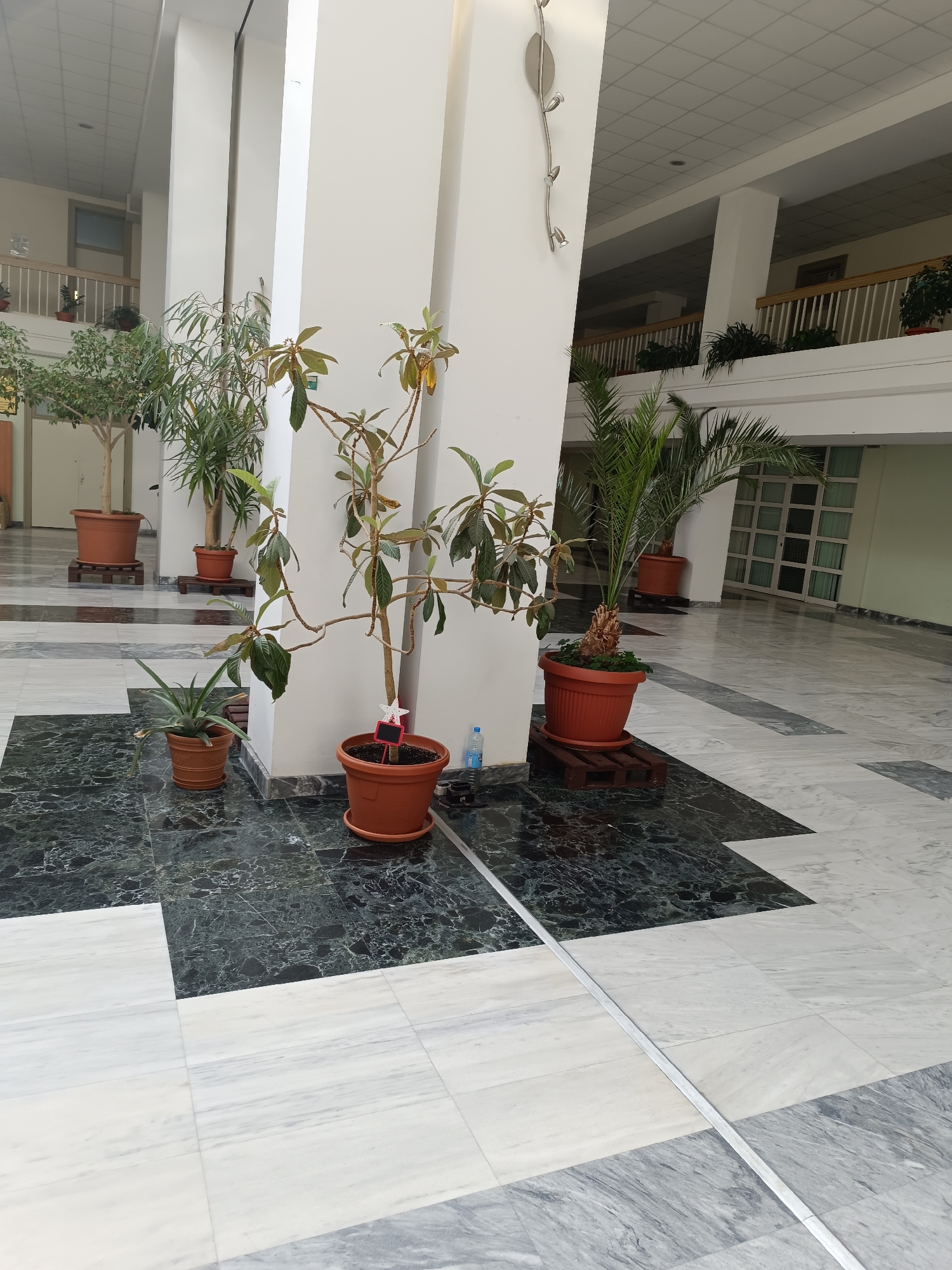The image shows an indoor space, likely a lobby or atrium, in a building with white pillars and a tiled floor consisting of large squares of white and black marble. Several potted plants are arranged near the pillars. There are two levels visible, with a railing along the upper level. A metal light fixture is attached to one of the pillars.
The exact location in Sofia, Bulgaria is not discernible from the given image.