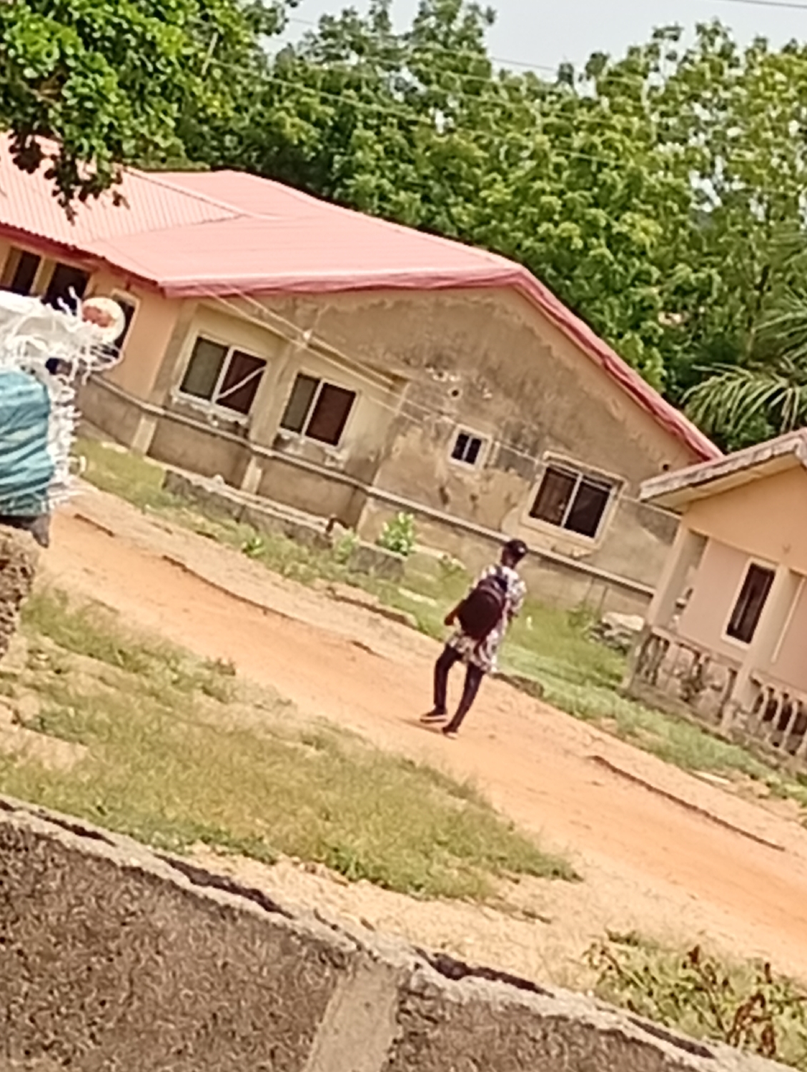 The image depicts an outdoor scene, likely a residential or semi-rural area, under bright daylight conditions. A single person, possibly a young individual, is the primary human subject, seen walking along a reddish-brown dirt path that traverses the middle ground of the image. This individual is viewed from behind, dressed in dark attire, and carrying a black backpack.
To the left and center of the background, a house with a prominent red corrugated roof is visible. The building has light-colored walls and several rectangular windows. The exterior of the building appears somewhat weathered. Another smaller building with a lighter roof and walls can be seen further to the right.
The ground around the dirt path is covered with patches of green grass and sparse vegetation. In the immediate foreground, a rough, low-lying concrete or stone wall is partially visible. The upper portion of the image is filled with abundant green trees with dense foliage, suggesting a lush, natural environment. Faint power lines are also discernible in the distance against a bright, overcast or overexposed sky. No visible text is present in the image.