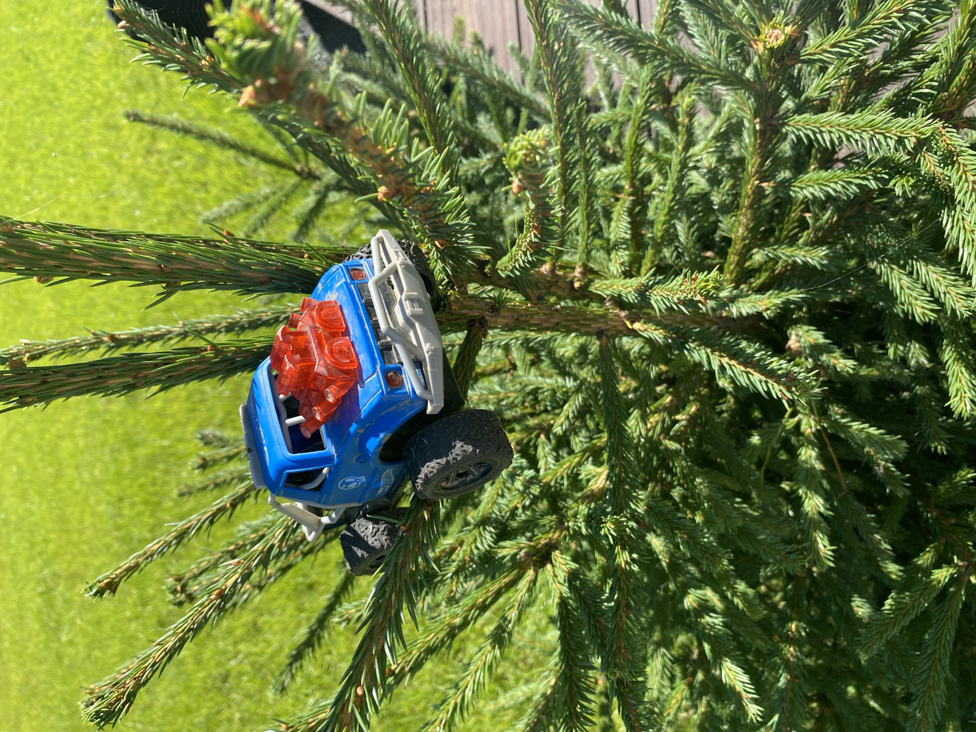 A close-up, outdoor, eye-level shot focuses on a blue toy monster truck with a red engine detail, perched precariously on the branches of a dense green fir tree. The truck's front wheel is angled downwards, resting on a thick branch, while the rear wheel is elevated on a higher branch. Sunlight filters through the tree's needles, casting shadows and highlighting the vibrant green of the foliage. In the blurred background, a patch of bright green grass suggests a lawn or field, and a sliver of a wooden deck is visible on the right side. The image is devoid of any human presence or activity, and there are no discernible landmarks placing it specifically in Chulis, Russia.
