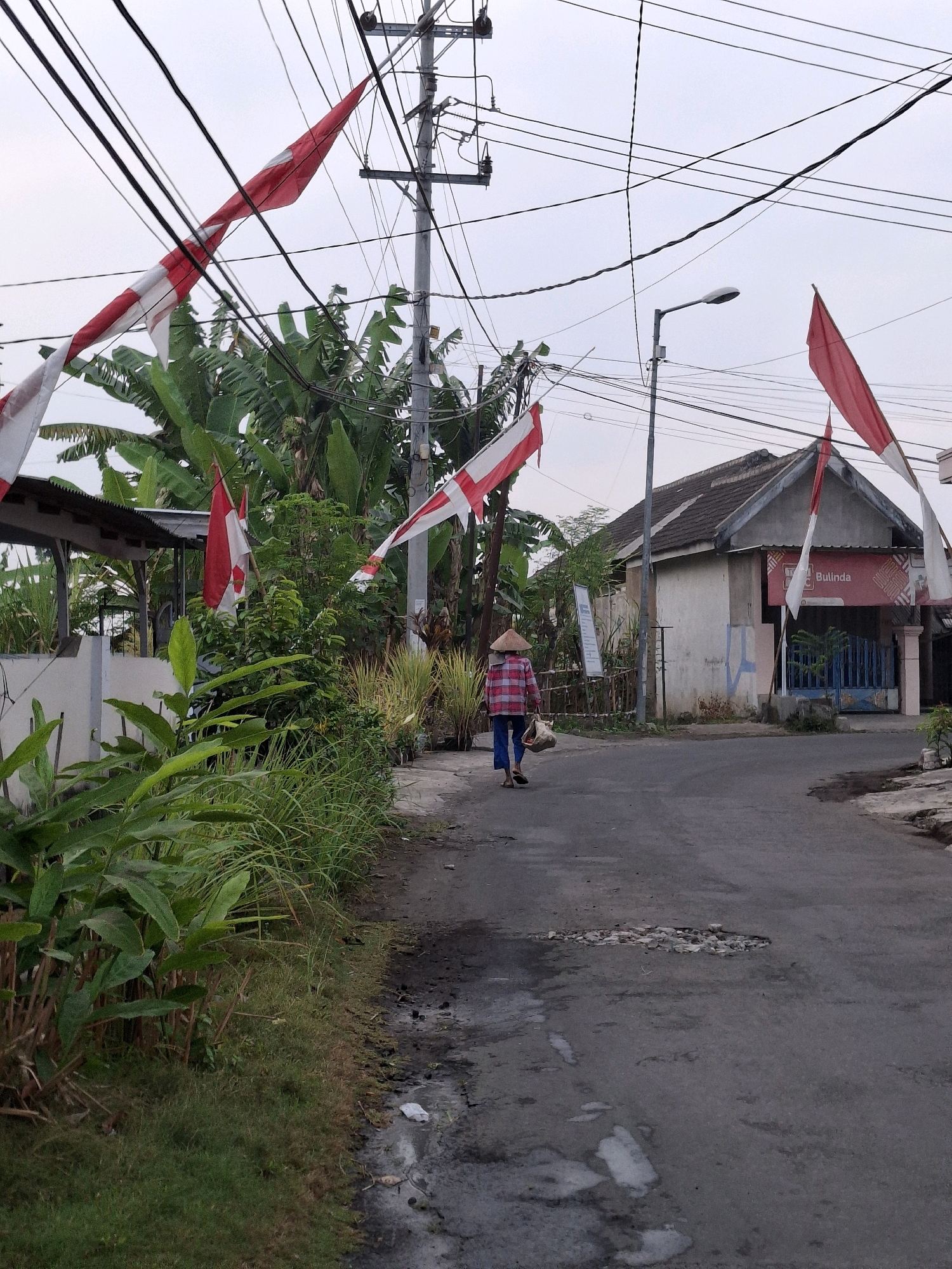 In Lumajang, Indonesia, a person wearing a conical hat walks down a paved street. The individual is dressed in a red and white checkered long-sleeved shirt and blue trousers, carrying a bag in their right hand. The street is lined with lush green vegetation on the left, with banana trees and other plants visible. Indonesian flags, predominantly red and white, are strung across utility wires above the street, some of which are draped over tree branches. On the right side of the street, a building with a light-colored facade and a dark roof stands, featuring a blue gate and a sign with red lettering that reads "Bulinda." The sky is overcast, and the overall scene depicts a residential area on a cloudy day, possibly during a period of national celebration given the prominent display of flags.