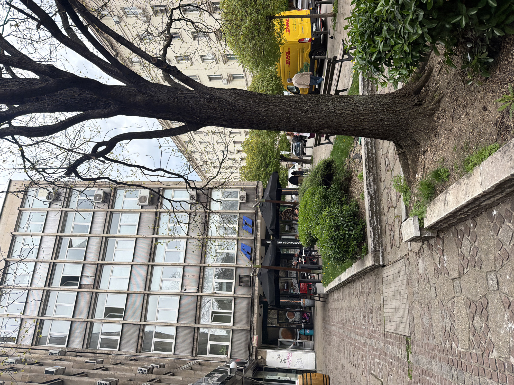 This media file captures an urban street scene in Sofia, Bulgaria, during the daytime under an overcast sky.
The prominent subject in the foreground is a large, mature deciduous tree with a thick, textured trunk and an extensive canopy of bare branches, reaching towards the sky. Its roots are visible at the base, surrounded by soil and sparse greenery.
To the right, a paved sidewalk made of reddish bricks and grey patterned concrete extends into the distance. A low concrete wall separates the sidewalk from a narrow strip of garden featuring bushes and smaller plants.
Across the street, a yellow DHL delivery van is parked. Nearby, a person in a light jacket is sitting on a public bench. Several other people are scattered along the street and sidewalk, some walking.
The architecture includes a multi-story building with a grey facade, characterized by numerous rectangular windows, some of which are open, and multiple external air conditioning units. A blue, stylized logo resembling a letter (possibly a Cyrillic 'N' or 'Z') is affixed to this building. Below it, a cafe occupies the ground floor, extending onto the sidewalk with black awnings and outdoor seating where a few patrons are visible. Partially visible text on a cafe awning includes Cyrillic characters that appear to read "СТОЈНО ЗА ОБС" or a similar phrase, oriented sideways. Further down the street, another building with a lighter-colored facade is visible through the tree canopy.
The scene portrays a typical bustling urban environment, suggesting everyday activities like deliveries, leisure, and pedestrian movement.