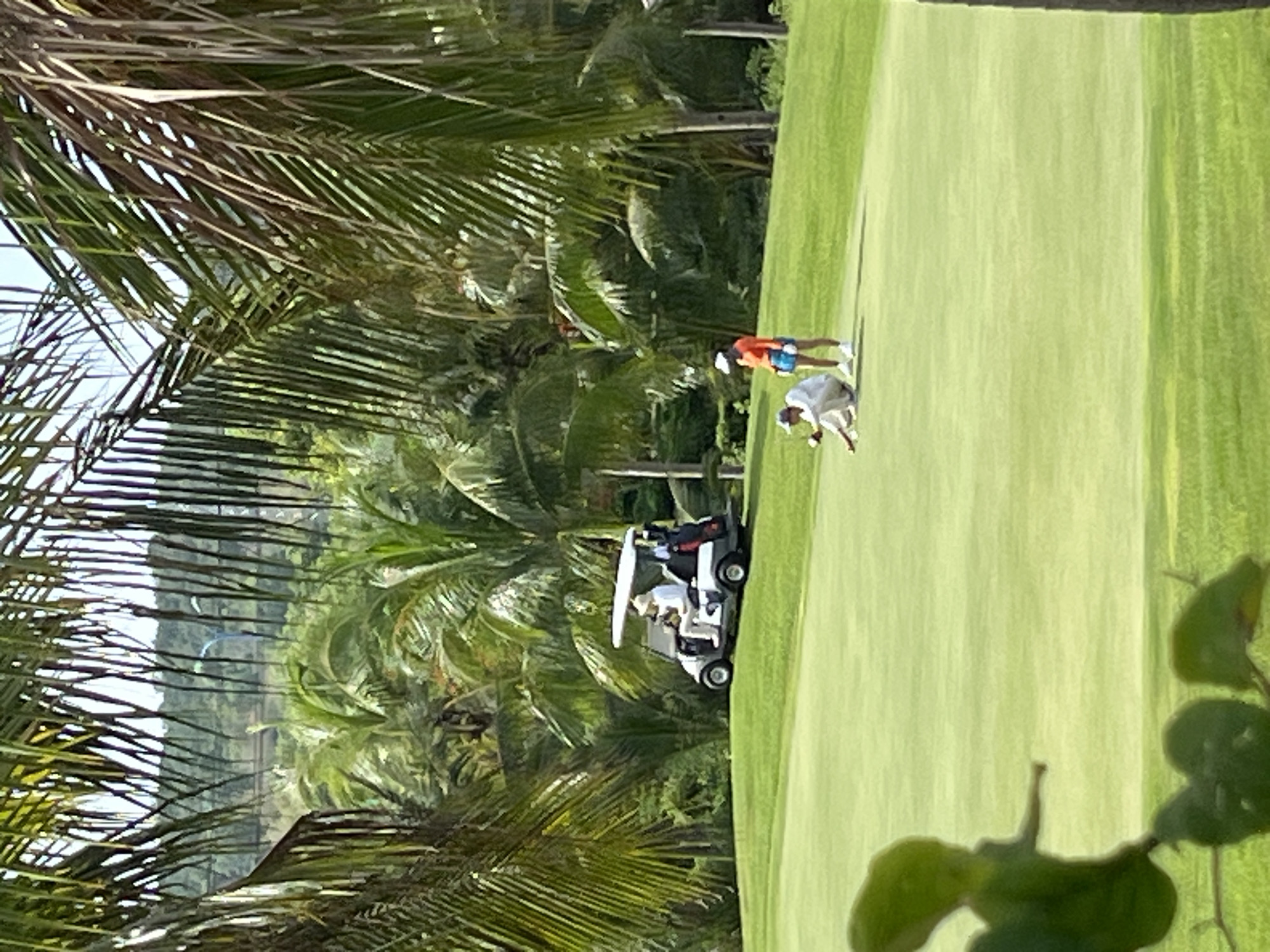 The image depicts a golf course in Phu Thuy Ward, Vietnam, characterized by lush green fairways and numerous palm trees. In the foreground, a person in a light-colored shirt and pants is kneeling on the grass, seemingly addressing or marking a golf ball. Standing a short distance away is another person wearing an orange shirt and blue shorts, observing the golfer. A golf cart, occupied by at least one person, is parked on the fairway in the background. The scene is framed by the fronds of palm trees, suggesting a tropical or subtropical setting. The lighting indicates it is daytime, likely with bright sunlight.