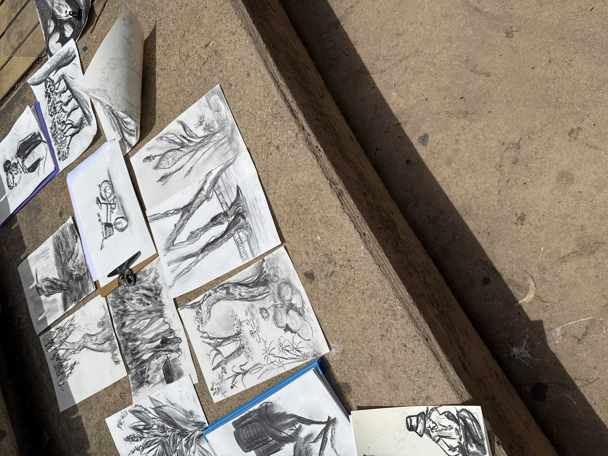 Scattered on concrete steps in Tel Aviv, Israel, are various charcoal drawings on white paper. The drawings depict trees, branches, plants, a bicycle, and a figure. Some drawings are held together with a black clip. The steps are weathered and stained. Natural light casts shadows across the scene.