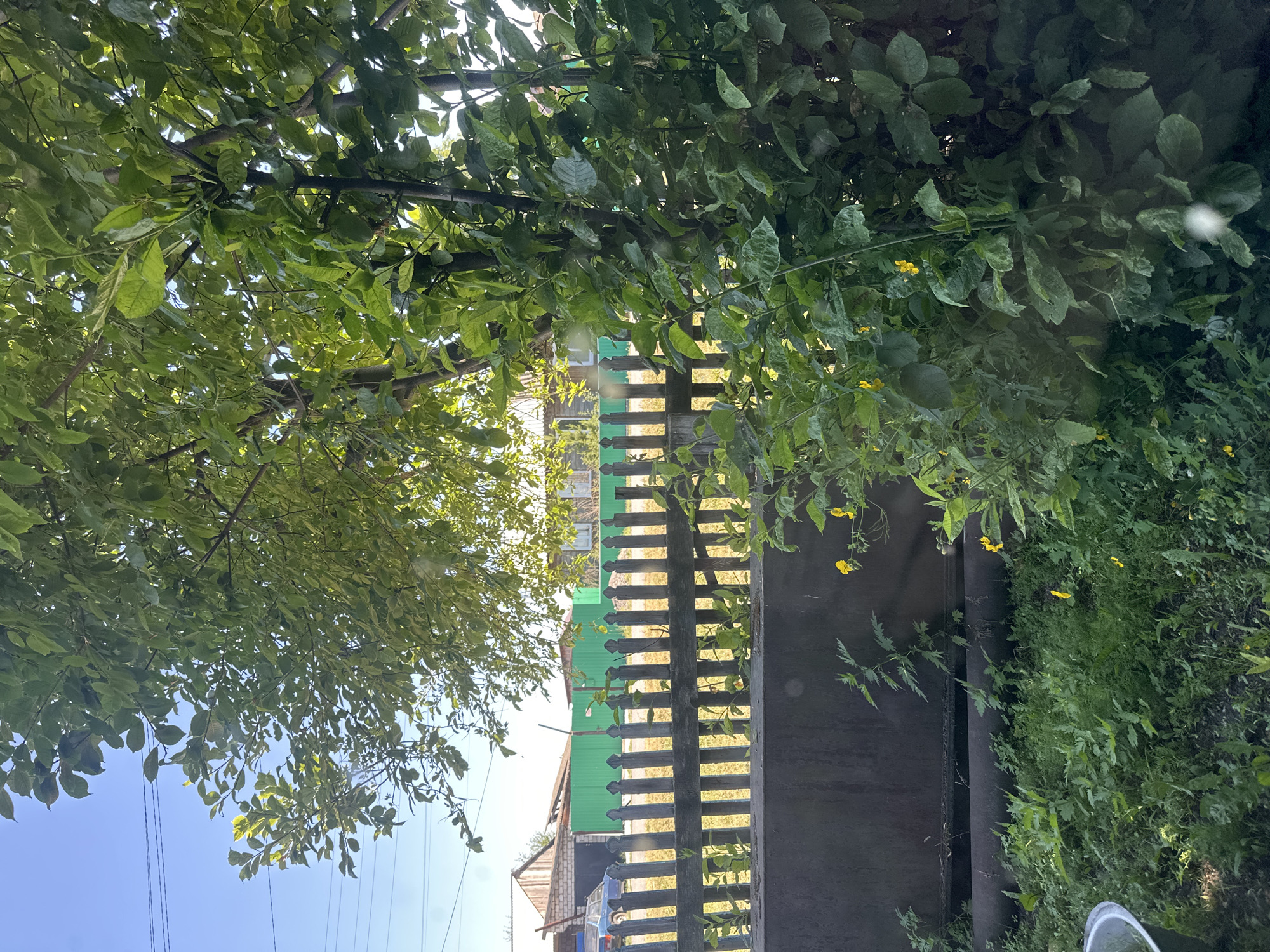 The image depicts a sunlit, outdoor scene at ground level, likely in Novoyeniseyka, Russia. A weathered wooden fence runs horizontally across the mid-ground, separating the foreground from the background. Behind the fence, a bright green metal fence is visible. In the background, buildings with white and brick facades are present, with a blue car parked in front of one of them. Overhead, the branches of a leafy green tree dominate the upper portion of the image, with some electrical wires also visible against the clear blue sky. The foreground is characterized by lush green grass and various plants, including some small yellow flowers. There are also large, dark pipes running horizontally along the bottom of the image. A portion of a metal basin is visible in the lower left corner. No people are present in the image.