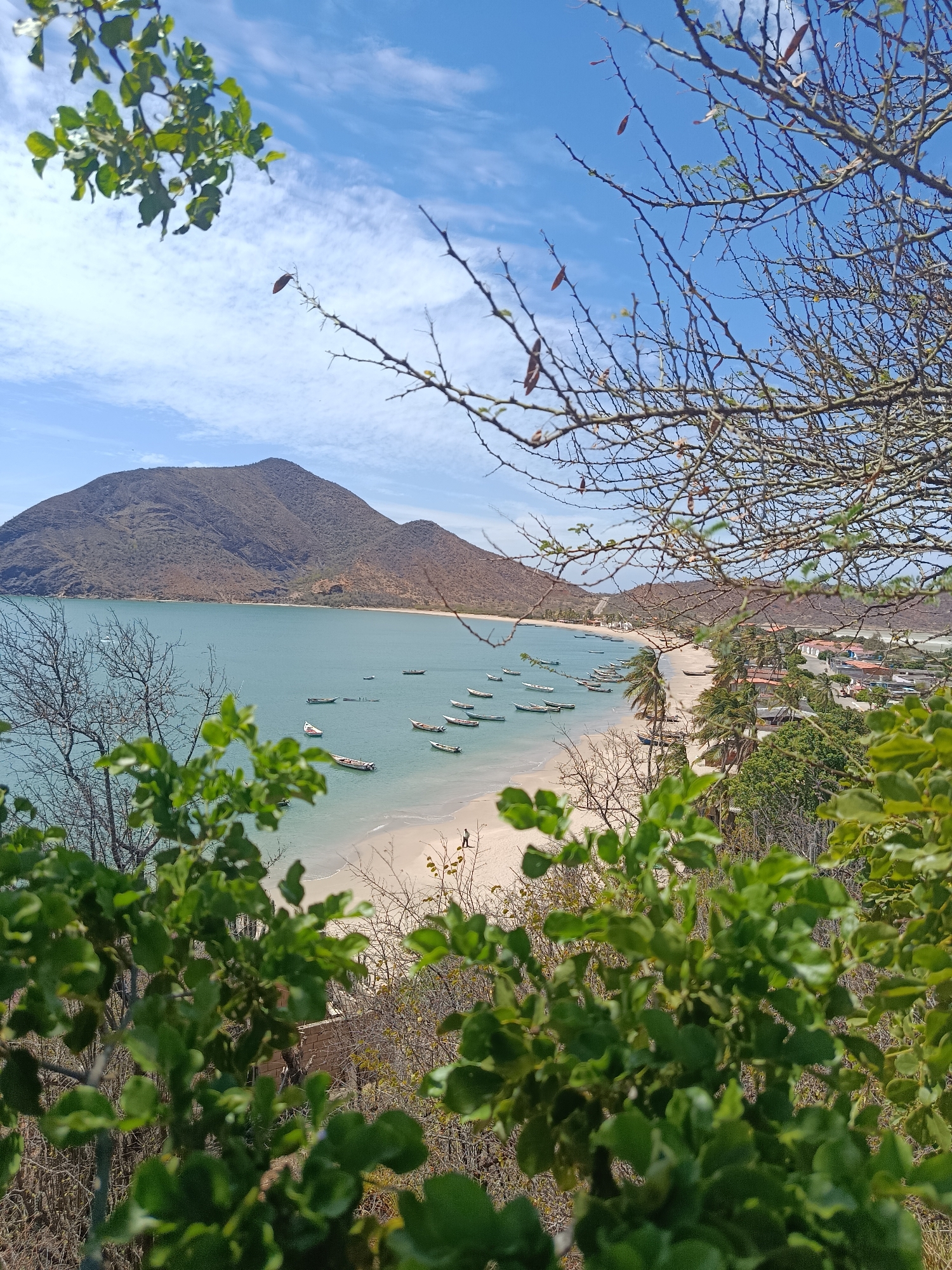 The image shows a scenic view of a bay in Juan Griego, Venezuela, with a large mountain dominating the left side of the frame. The bay is filled with numerous small boats anchored in the calm, turquoise water. A sandy beach lines the shore, with a lone person walking on the sand. The right side of the bay has buildings and trees extending along the coast. The foreground is filled with foliage of trees, framing the scene and adding depth to the image. The sky is blue with scattered clouds.