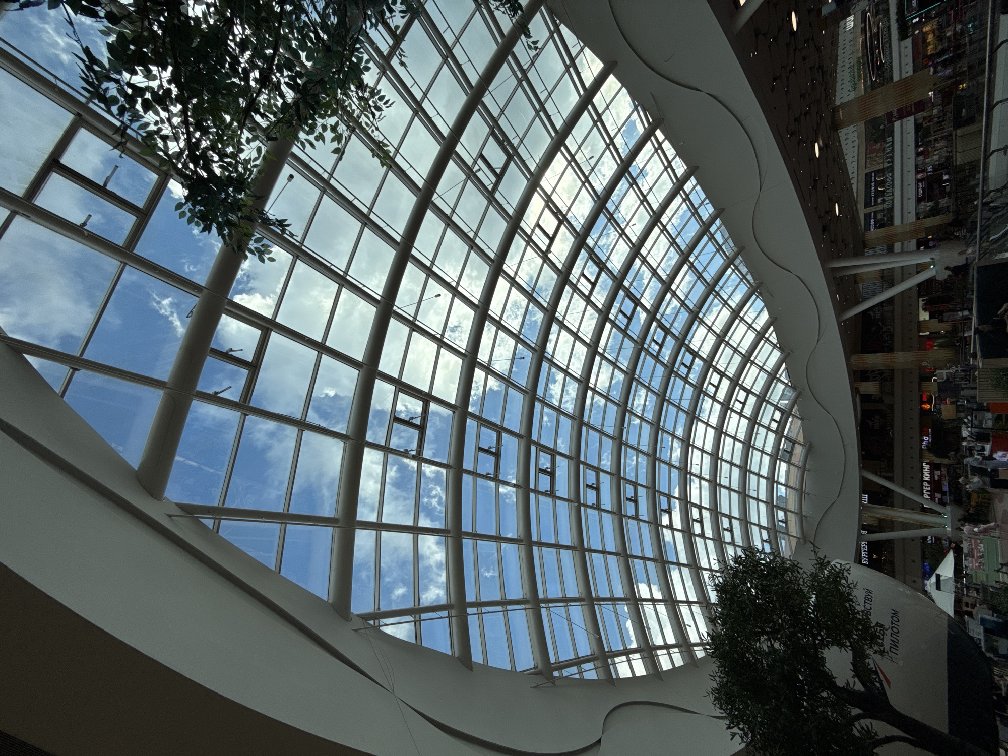 The image shows the interior of a modern shopping mall with a large, curved glass roof that allows natural light to enter. The sky with clouds is visible through the roof, which is supported by a grid of metal beams. Several rectangular windows in the roof are open. On the left side of the frame, a large, white, curved structure with the Russian text "ПИЛОТОМ" is visible, and a fake tree with green foliage is placed in front of it. In the background, multiple levels of the mall are visible with shops and people. The scene is well-lit due to the natural light. The location is identified as the shopping mall "Aviapark" in Moscow, Russia.