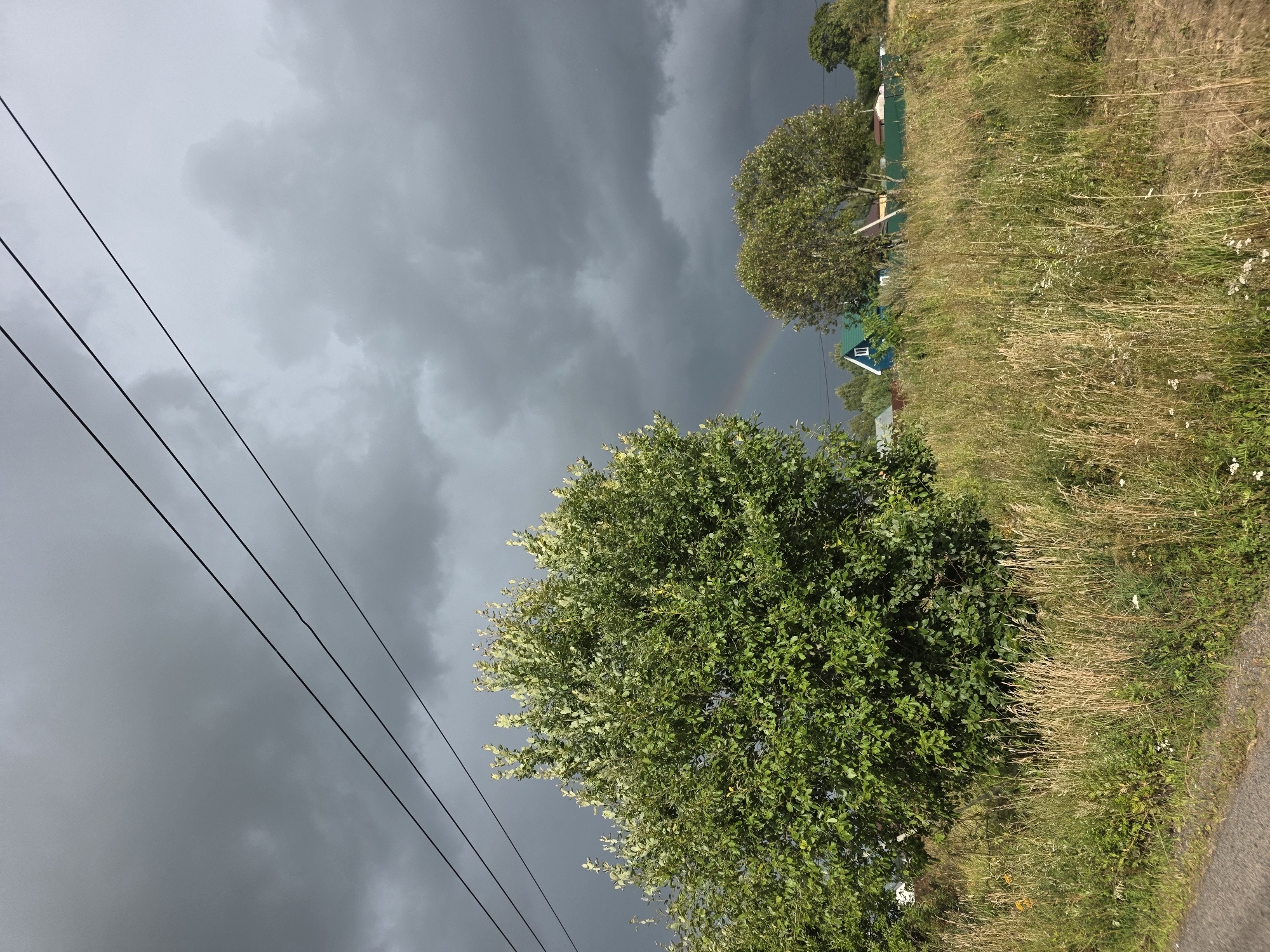 The image depicts a rural landscape under a dark, overcast sky, with three power lines stretching diagonally across the upper portion. In the foreground, a large, leafy green tree stands prominently on the left side, its branches reaching upwards. To the right, a field of dry, golden grass and smaller green plants stretches into the middle ground. Partially obscured by the trees and grass, several rural structures are visible, including a blue house with a white-framed window, a green fence, and other indistinct buildings. A faint rainbow arcs across the sky in the middle distance, suggesting recent or ongoing rain. The overall atmosphere is somber due to the heavy clouds, yet the presence of the rainbow offers a hint of contrast. The location is identified as Glukhovo, Russia.