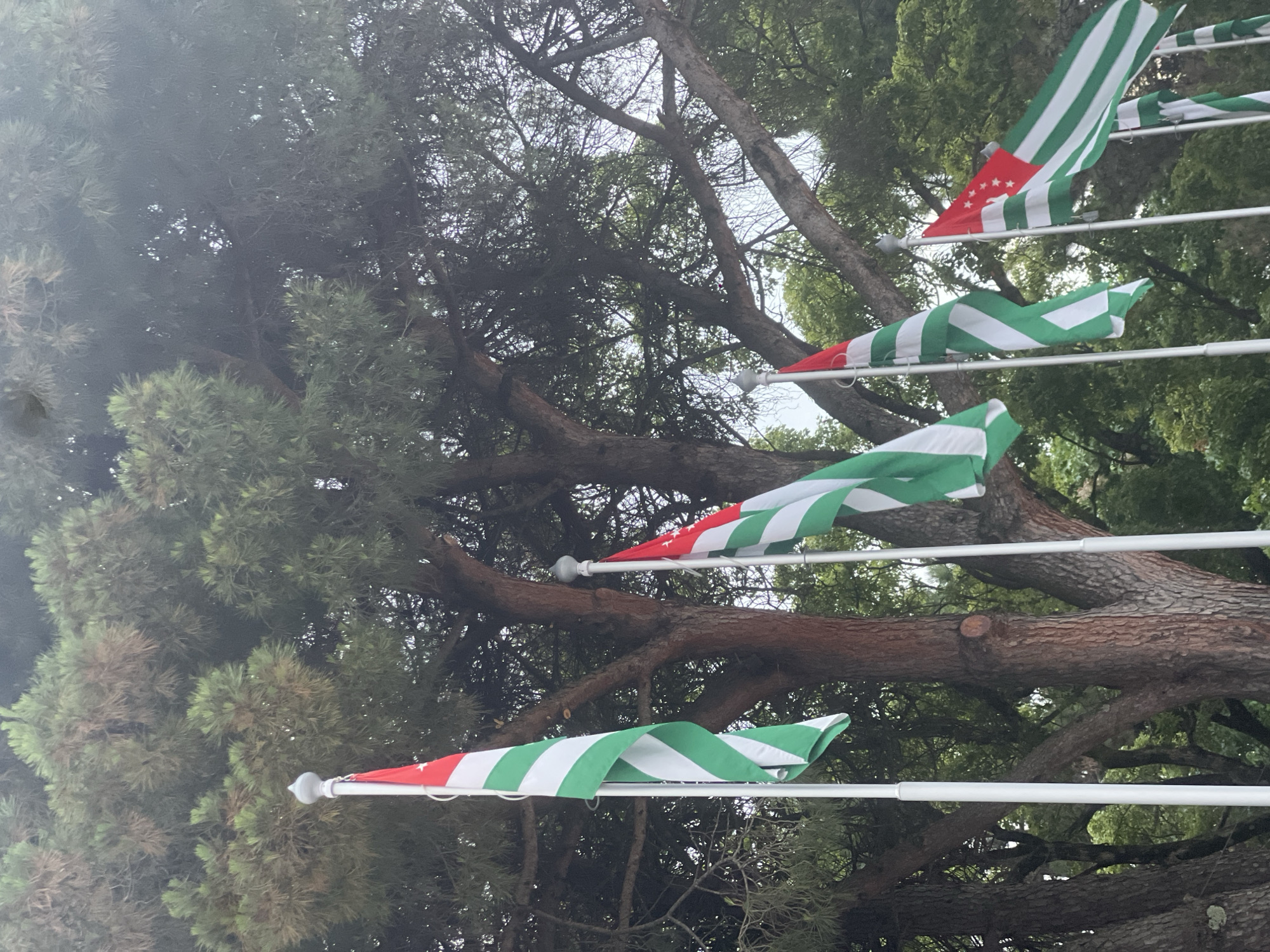 The image shows multiple flags with a red top stripe and white and green stripes below, set against a backdrop of pine trees and a light sky. The flags are mounted on white poles. The flags appear to be of Abkhazia. The scene is outdoors, suggesting a public space. The image captures a close-up view of the flags and the surrounding foliage.
