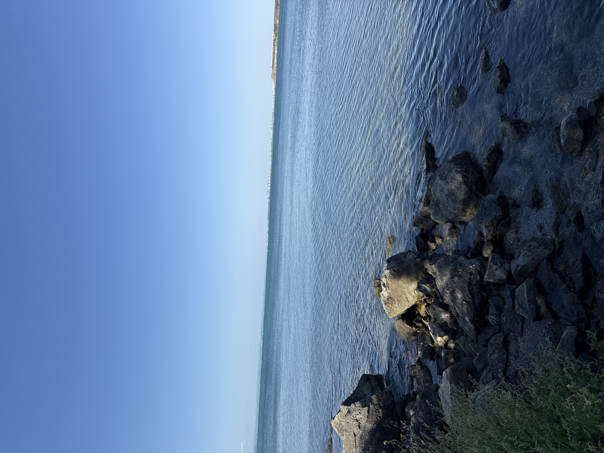 The image depicts a rocky shoreline on a clear, sunny day. The foreground is dominated by dark, irregular rocks and a patch of green vegetation. The water is calm and blue, with gentle ripples reflecting the sunlight. In the distance, the coastline is visible, featuring a low hill and a line of buildings that suggest a settlement or city. The sky is a vast expanse of clear blue, with no clouds visible. This scene is consistent with the coastline of Pomorie, Bulgaria, a coastal town known for its rocky shores and proximity to the Black Sea. There are no people or specific actions captured in the image; it is a static, environmental portrait.