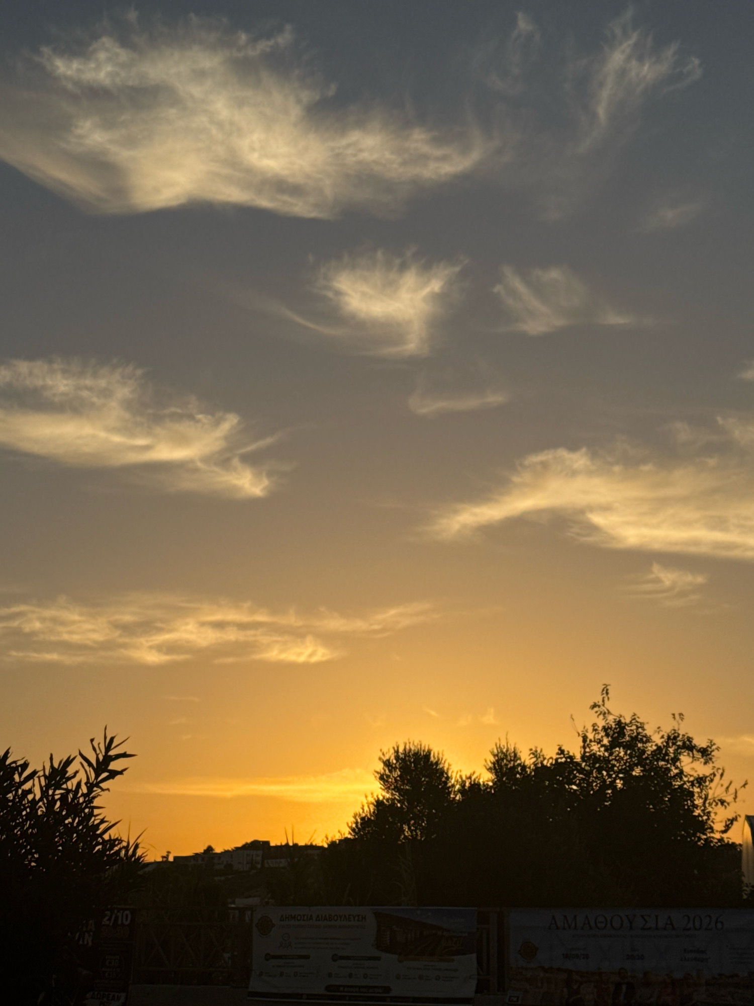 The image captures a sunset scene in the Germasogeia Municipality, Cyprus, with a dramatic sky filled with wispy clouds illuminated by the setting sun. The upper portion of the sky is a deep grey-blue, transitioning to a warm orange and yellow gradient towards the horizon. Wispy, elongated clouds are scattered across the sky, catching the golden light. Below the sky, a silhouetted line of trees and buildings forms the horizon, suggesting a residential or semi-urban area. In the foreground, the dark silhouettes of vegetation, possibly bushes or trees, are visible on the left and right edges of the frame. In the lower part of the image, parts of billboards or signs are visible, with some text that appears to be in Greek, though illegible in detail due to the low resolution and lighting. One sign on the right has the text "AMADHOUSIA 2026". No people are clearly discernible in the image. The overall impression is of a serene, natural landscape at dusk.