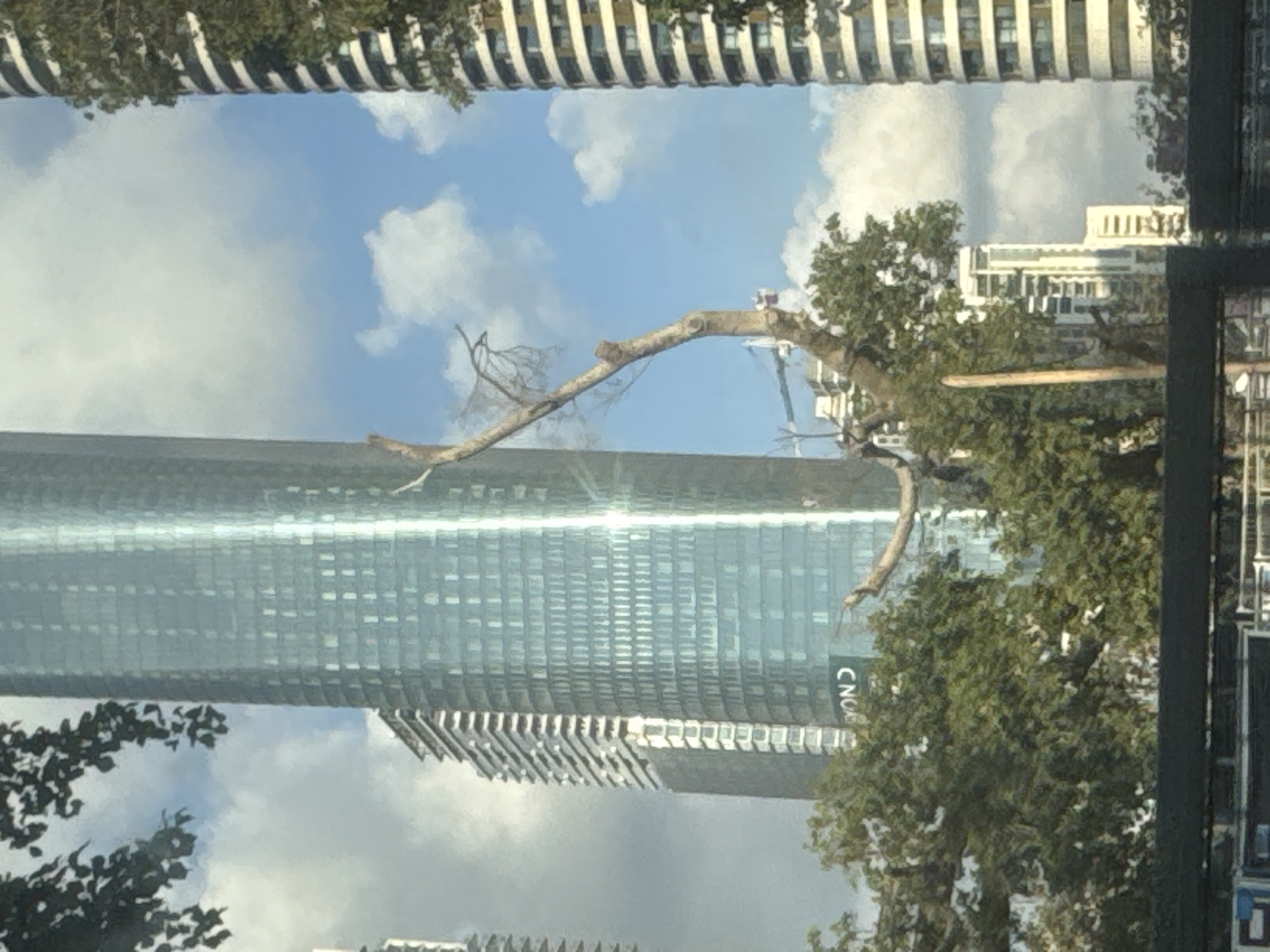 This is a photograph taken in Tel-Aviv, Israel, likely during the daytime. The image is a reflection, possibly from a window or a body of water, showing an inverted view of the urban environment.
The primary subjects are modern skyscrapers with reflective glass facades, creating a sense of depth and scale. One prominent skyscraper has a blue-green, grid-like pattern of windows. Another building in the background is lighter in color with a more traditional architectural style, featuring rows of windows and some decorative elements. In the foreground, branches of trees, some bare and some with foliage, are visible, arching across the scene. The sky, also reflected, is bright blue with scattered white clouds, suggesting fair weather.
The reflection creates an unusual and somewhat surreal composition, with the sky and clouds appearing to be part of the urban landscape. The interplay of light and shadow on the buildings and the reflected elements adds to the visual interest.
A notable detail is the visible text on the side of the blue-green skyscraper, which appears to read "CNCB." The overall impression is one of a bustling city viewed from an unconventional perspective, highlighting the blend of nature and urban development. The image does not depict any people or specific events, focusing instead on the architectural and natural elements of the environment.