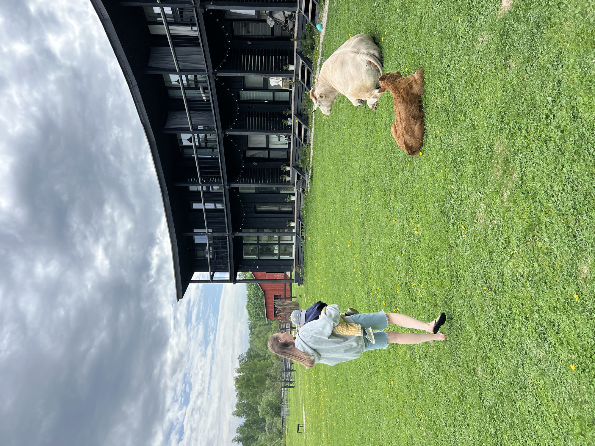 The image shows an outdoor scene near a black building with multiple stories and balconies. Two cows, one light beige and another brown, are lying on the green lawn next to the building. A woman stands on the lawn, holding a child. She is wearing a light blue sweatshirt and denim shorts. The landscape includes a fence, trees, and a small red building in the background. The sky is overcast with cloudy weather. The location is Prudki, Russia.
