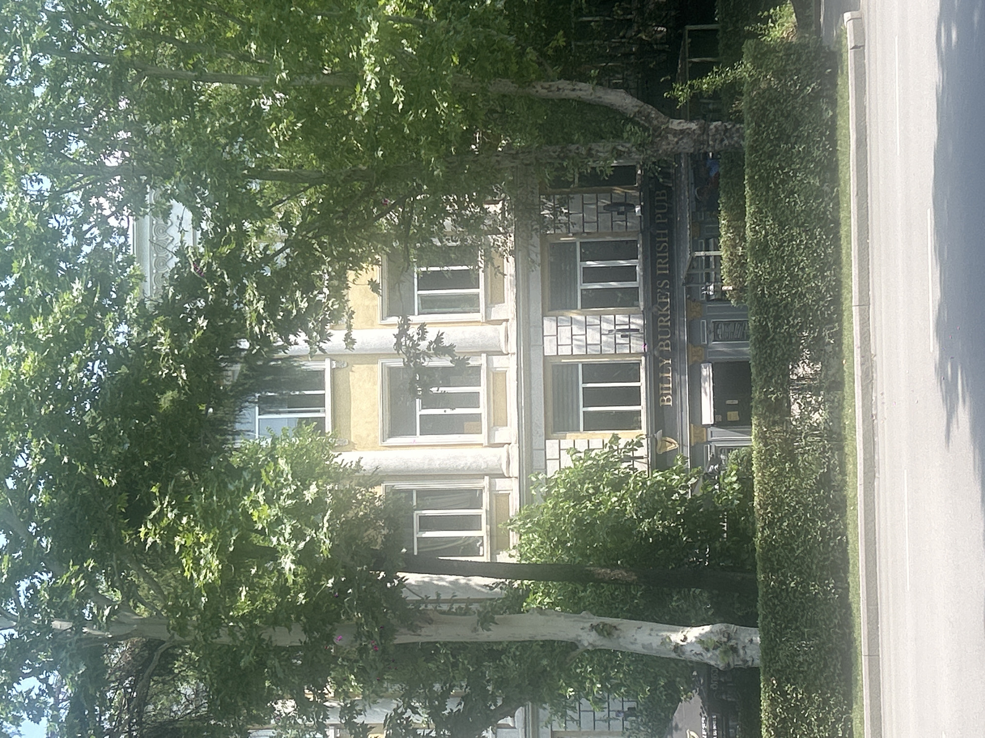 In the city of Tbilisi, Georgia, an Irish pub named "Billy Burke's Irish Pub" is visible through a dense canopy of green trees. The pub is situated on the ground floor of a building with a yellow facade, featuring white-trimmed windows. The pub itself has a dark facade with large windows and a sign bearing its name. A well-maintained green hedge runs along the front of the pub, separating it from a paved road. The overall scene suggests a sunny day in an urban environment.