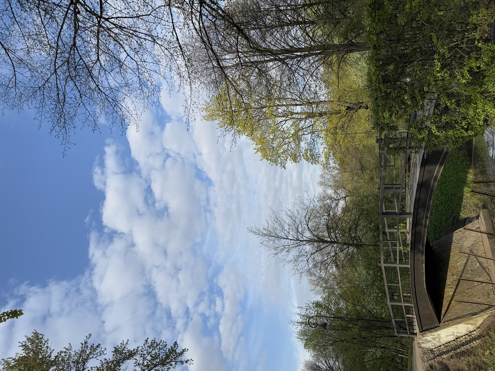 The image depicts a park in Saint Petersburg, Russia, featuring a curved pedestrian bridge over a water channel. The sky is partly cloudy, with blue patches visible between the clouds. Trees with new spring foliage and bare branches frame the scene. The bridge has dark metal railings. The perspective is from a low angle, looking upwards towards the sky. A pathway is visible adjacent to the water channel.