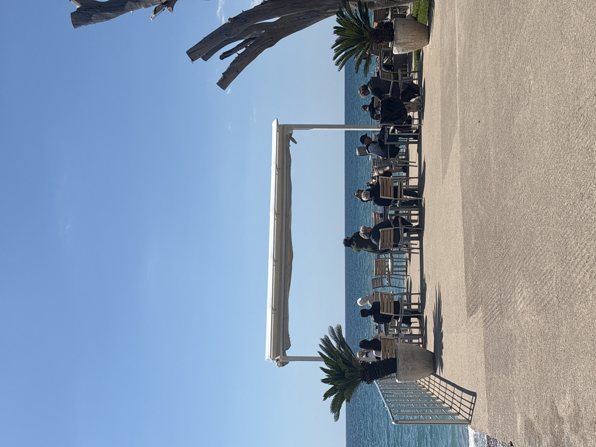 The image shows a row of people sitting at tables outside a cafe. They are wearing masks. The cafe is located next to the sea. The location is likely Bar, Montenegro. The sea is calm and blue. The sky is clear and blue. A large, bare tree branch is visible in the top left corner. The sidewalk is made of concrete. Palm trees in pots decorate the edge of the sidewalk. A white awning is visible over the tables.