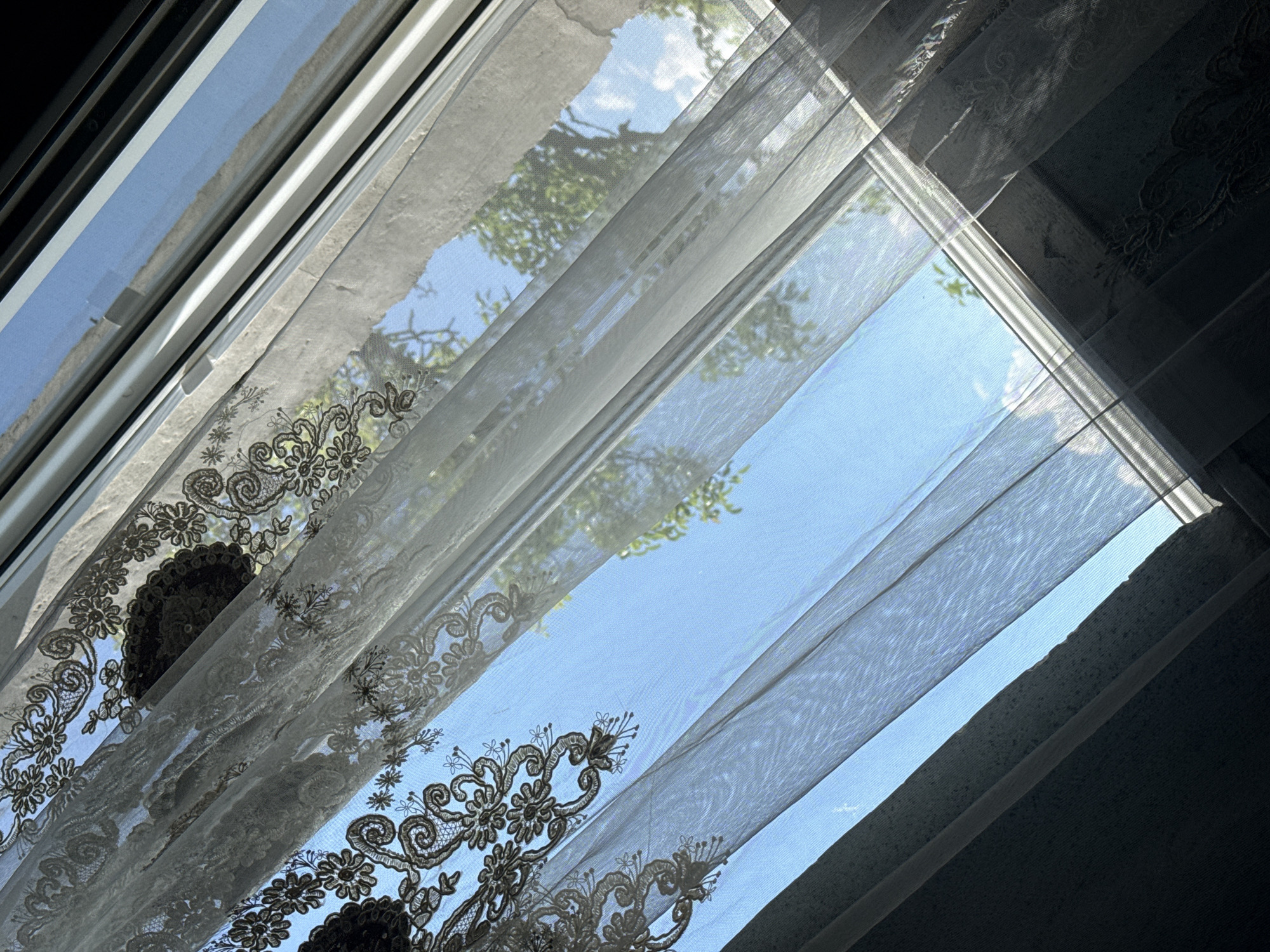 The image presents a bright, sunlit view looking upwards through a window, which is partially covered by sheer, light-colored curtains. These curtains are adorned with intricate dark brown or black lace patterns featuring floral motifs, swirling scrollwork, and circular medallion-like designs, particularly prominent on the left and lower sections. Sunlight streams intensely through the translucent fabric, creating highlights and shadows that emphasize the texture and folds of the material.
Beyond the sheer curtains, a clear, vibrant blue sky is visible, indicating bright, sunny weather. Green foliage from trees can be discerned through the transparent curtain fabric, suggesting an outdoor natural environment, possibly a garden or trees near a building. Parts of the window frame, appearing to be white and dark-colored, are visible along the top and left edges. A darker, thicker curtain or blind can be seen in the upper right and far right, mostly in shadow, providing a strong contrast to the luminous sky and sheer curtains.
The strong illumination and clear blue sky suggest it is daytime, likely morning or afternoon. No specific activity or individuals are depicted. There is no visible text in the image. The scene evokes a feeling of calm and light filtering into an interior space.