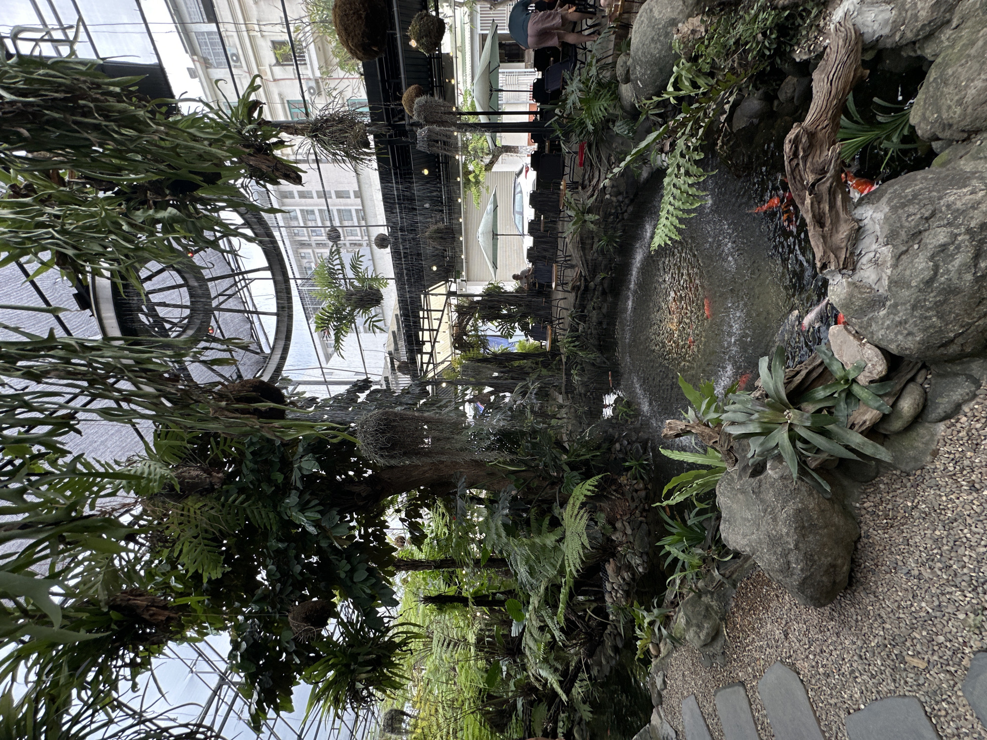 The image depicts an outdoor seating area of a cafe in Da Nang, Vietnam, designed with a lush, tropical garden and a koi pond. Hanging plants, including ferns and air plants, are suspended from a metal and mesh roof structure, creating a canopy effect. A central tree is adorned with more hanging vegetation.
Below, a rock-lined pond contains several koi fish, with a small fountain creating ripples on the water's surface. The pond is surrounded by rocks and various green plants, including ferns and bromeliads. A stone pathway made of flat, rectangular grey stones leads to the pond area.
In the background, the cafe has tables and chairs arranged under a covered patio, with umbrellas providing shade. Two umbrellas, one light green and one darker green, are visible. A white car is parked behind the seating area. A few patrons are seated at the tables, and one person, wearing pink shorts and a dark top, is standing near the edge of the patio. Buildings with windows are visible beyond the cafe structure, indicating an urban setting. The overall atmosphere suggests a serene and naturalistic cafe environment within a city.