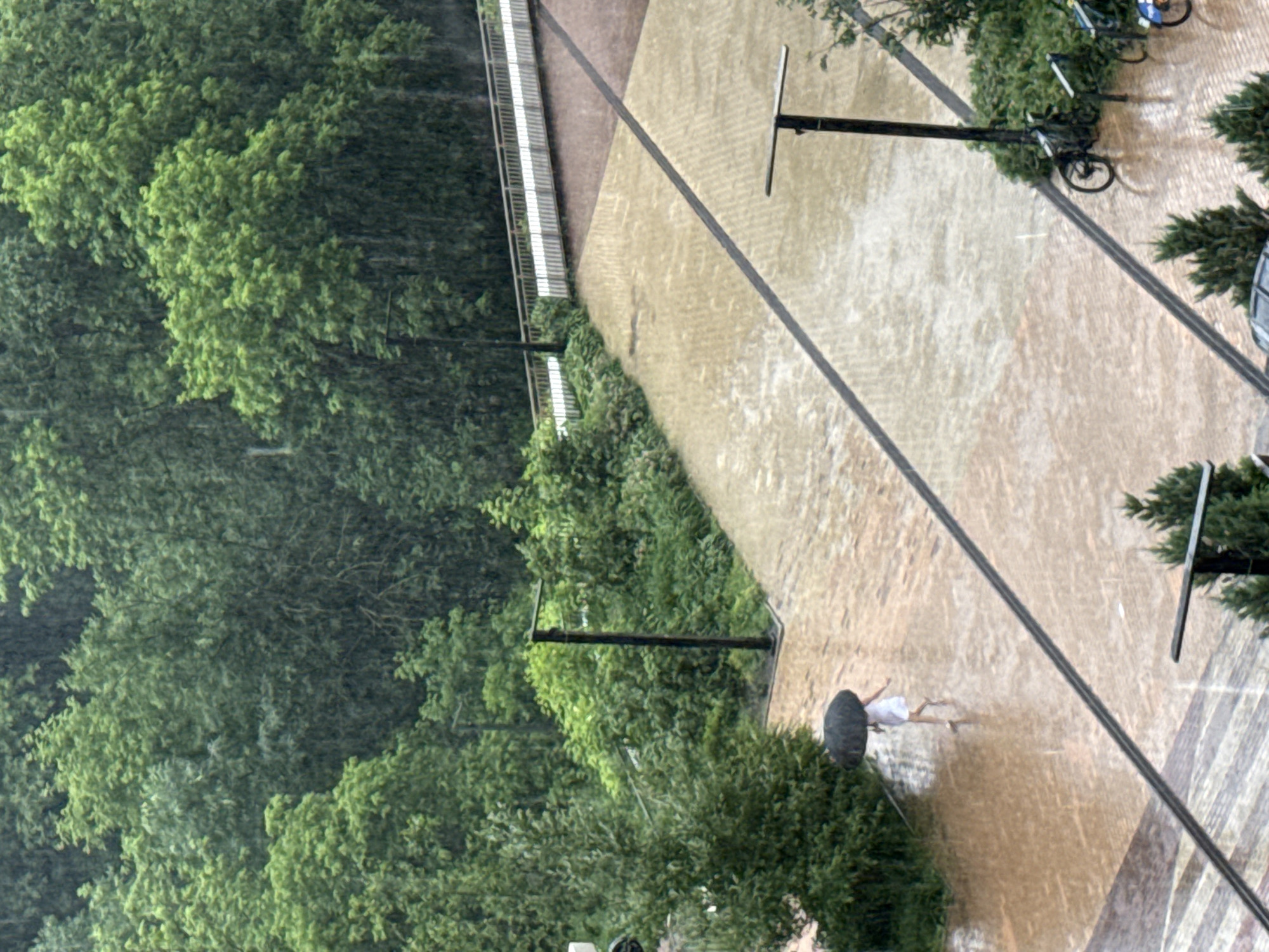 A person holding a black umbrella walks across a wet, paved area under heavy rainfall. The ground appears to be a mix of tan and dark patterned bricks. In the background, lush green trees form a dense backdrop. There are streetlights visible, and a wooden walkway with a railing runs along the edge of the trees. Several bicycles are parked near a streetlight. The overall impression is a scene in a city park or a residential complex during a downpour.