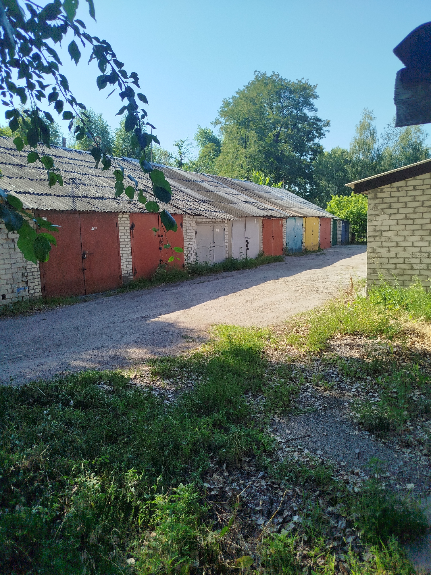 The image depicts a row of garages with corrugated roofs and brick walls, situated in a semi-urban environment, possibly a dacha cooperative or a garage cooperative in Kremenchuk, Ukraine. The garages are painted in various colors, including red, pink, white, yellow, and blue, and some have visible locks. The ground in front of the garages is a gravel road, with lush green grass and foliage growing along the sides and in the foreground. Trees and foliage are visible in the background, suggesting a location with abundant greenery. The sky is clear and blue, indicating fair weather. The scene is illuminated by sunlight, casting shadows on the road and garages.