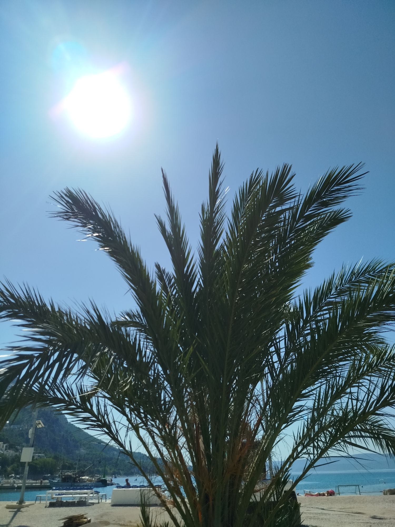 In Omiš, Croatia, on a bright, sunny day, a close-up view of a palm tree's fronds dominates the foreground, silhouetted against a clear, vibrant blue sky. The sun is high and bright, casting a glare and lens flare. The bottom portion of the image reveals a beach scene. In the background, a body of water, likely the Adriatic Sea, meets the coastline. Hills covered in greenery rise behind the water. Boats are visible docked or anchored near the shore. A paved area, possibly a promenade or walkway, is present, with white benches and some stacked wooden planks on it. A person is lying on the sandy beach, facing away from the camera.