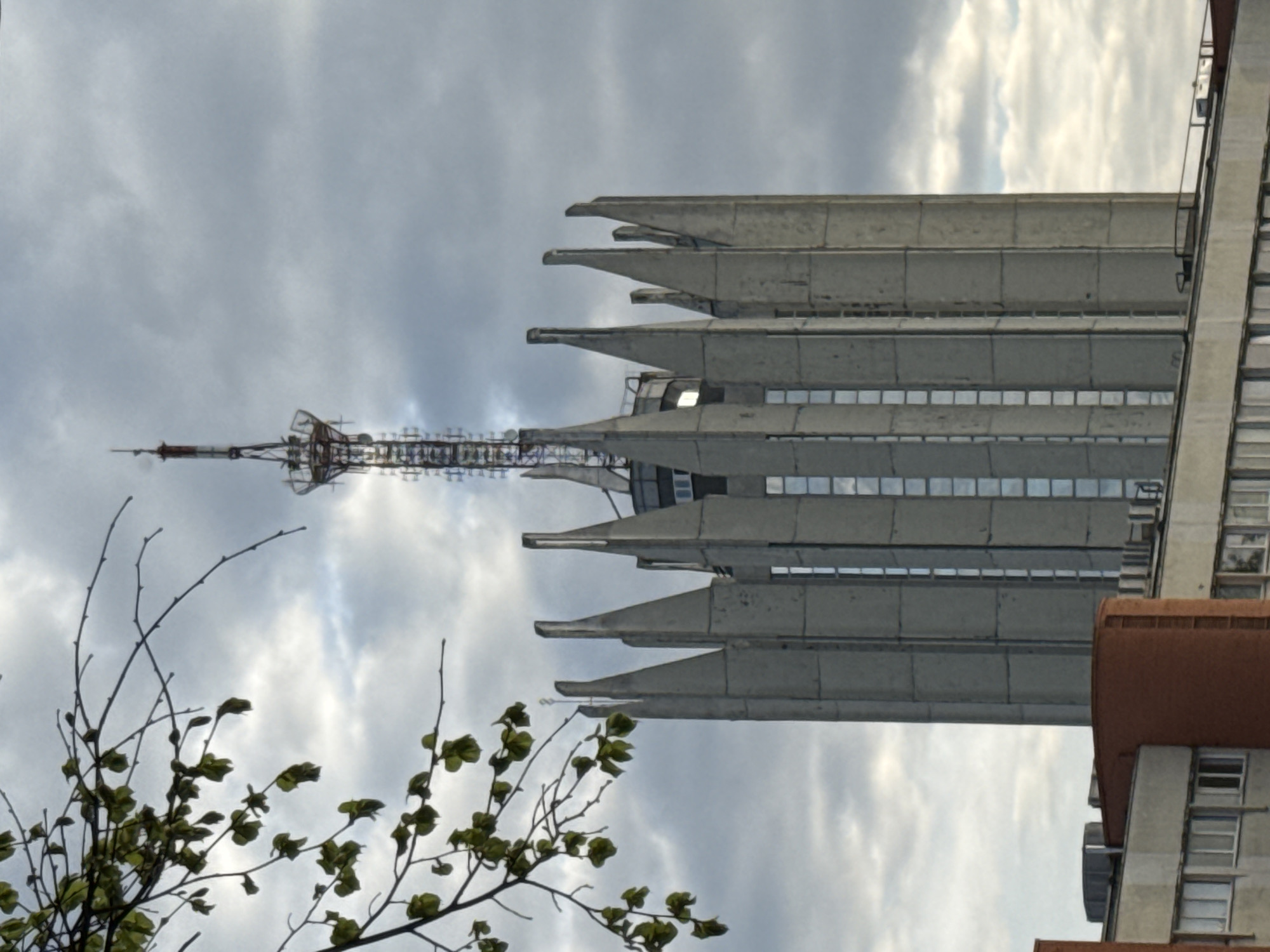 The image shows the Saint Petersburg TV Tower in Russia, viewed from below. The tower's concrete structure and antenna are visible against a cloudy sky. A tree branch with green leaves is in the lower left corner of the image. Other nearby buildings are visible on the right.