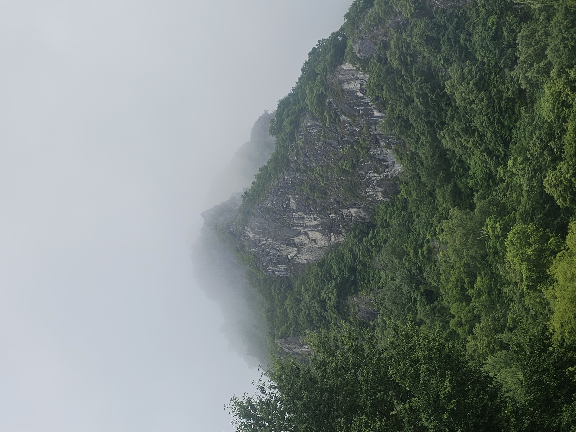 The image depicts a rocky mountain covered in dense green foliage, partially obscured by fog. The mountain face exhibits rugged textures and striations. The lower slopes are heavily wooded with various shades of green, indicating a lush environment. The sky is overcast with a thick layer of fog, giving the scene a muted and atmospheric quality. No people or man-made structures are visible in the image. The scene is consistent with the natural landscapes found in and around Nakhodka, Russia, which is known for its mountainous terrain and proximity to the coast.