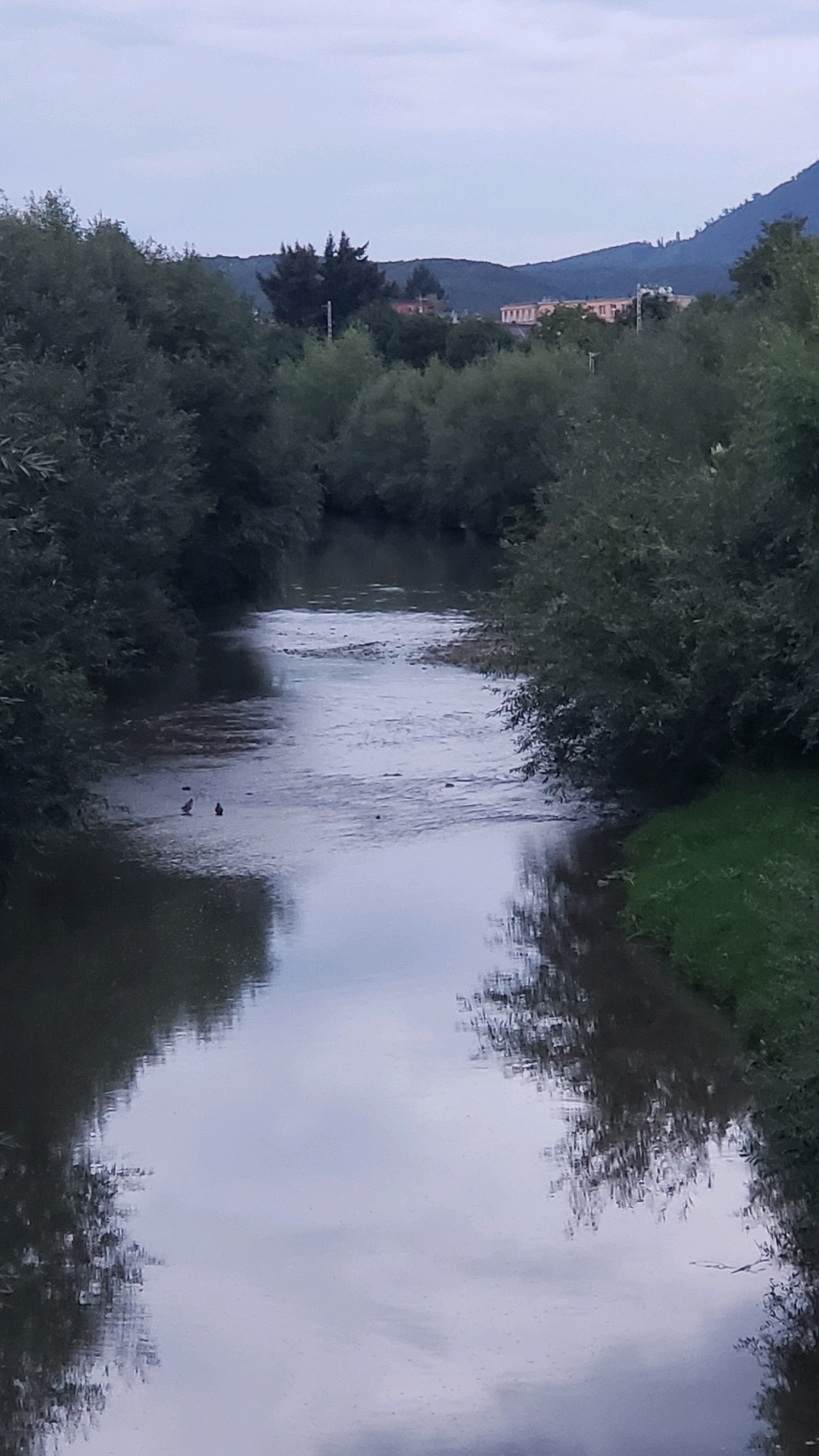 The image depicts a river flowing through a densely vegetated area, likely on the outskirts of Prešov, Slovakia. The river is calm, with reflections of the sky and surrounding trees visible on its surface. Two small birds are standing in the shallow water on the left side of the river. The banks of the river are lined with thick green trees, some of which overhang the water. In the background, a chain of hills or mountains can be seen, with some buildings clustered on the slopes. The sky is overcast, suggesting it might be early morning or late afternoon. The overall scene is one of natural beauty and tranquility.